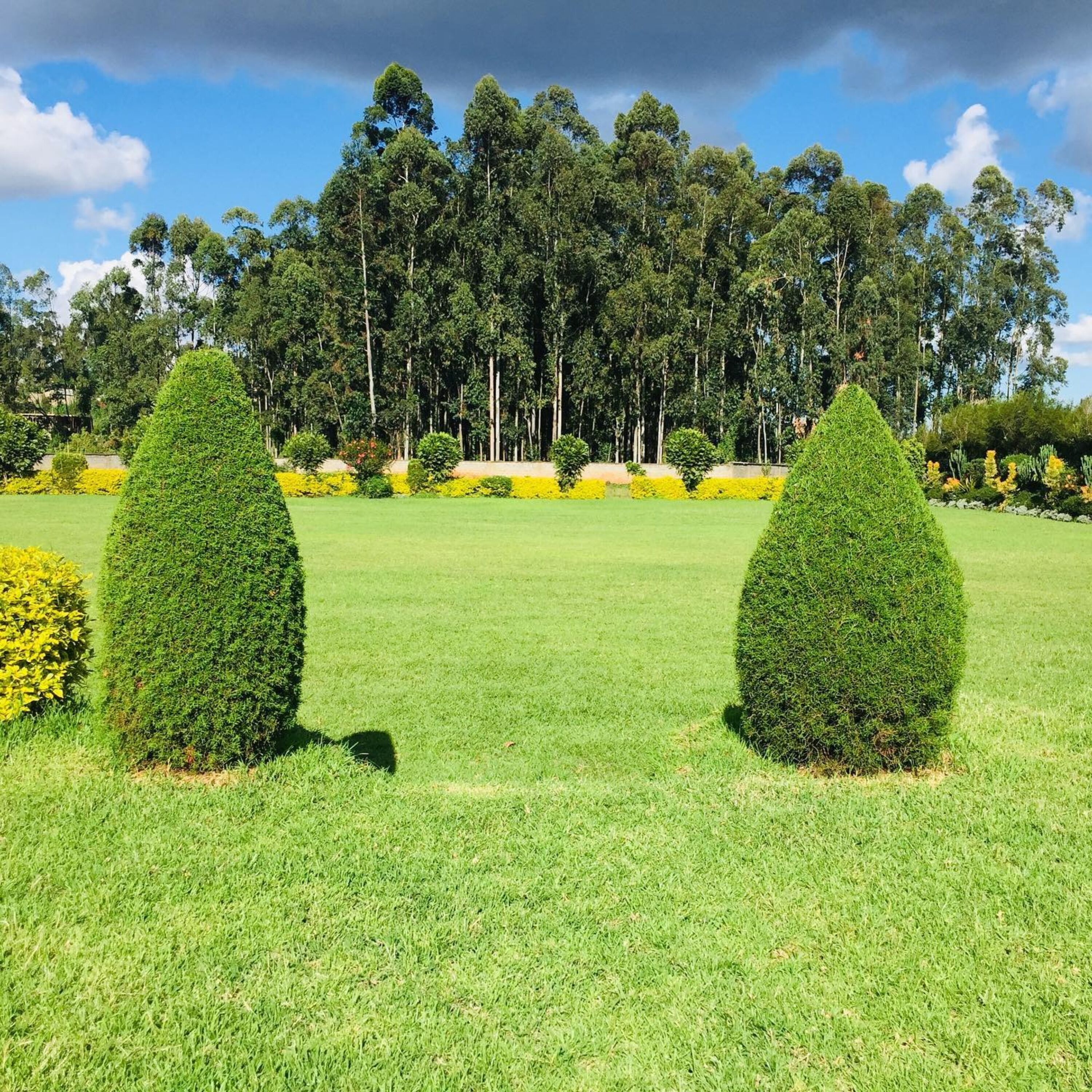 Rio Breeze Gardens