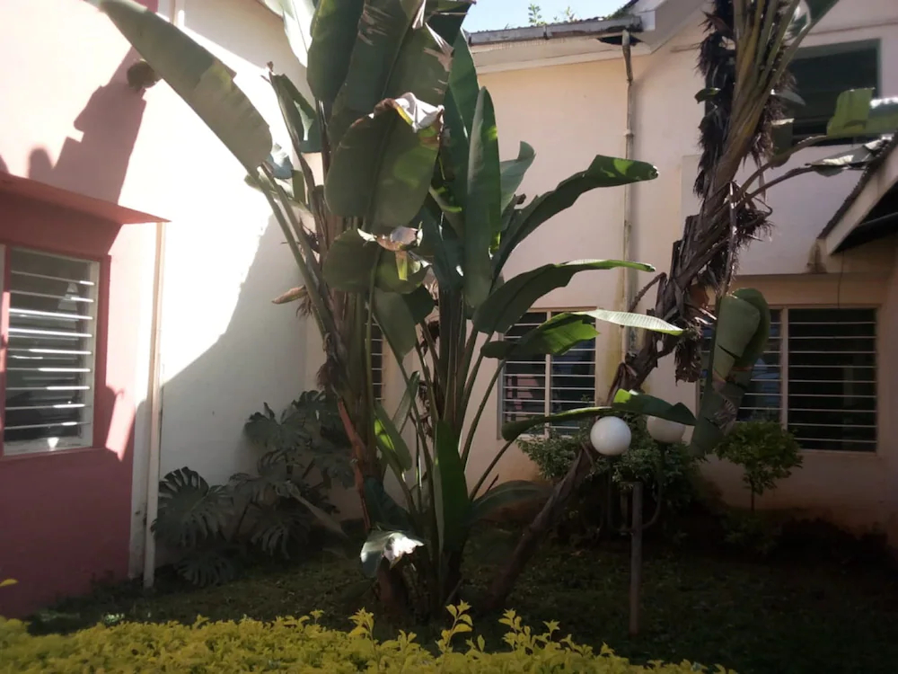 Kiembeni Resort