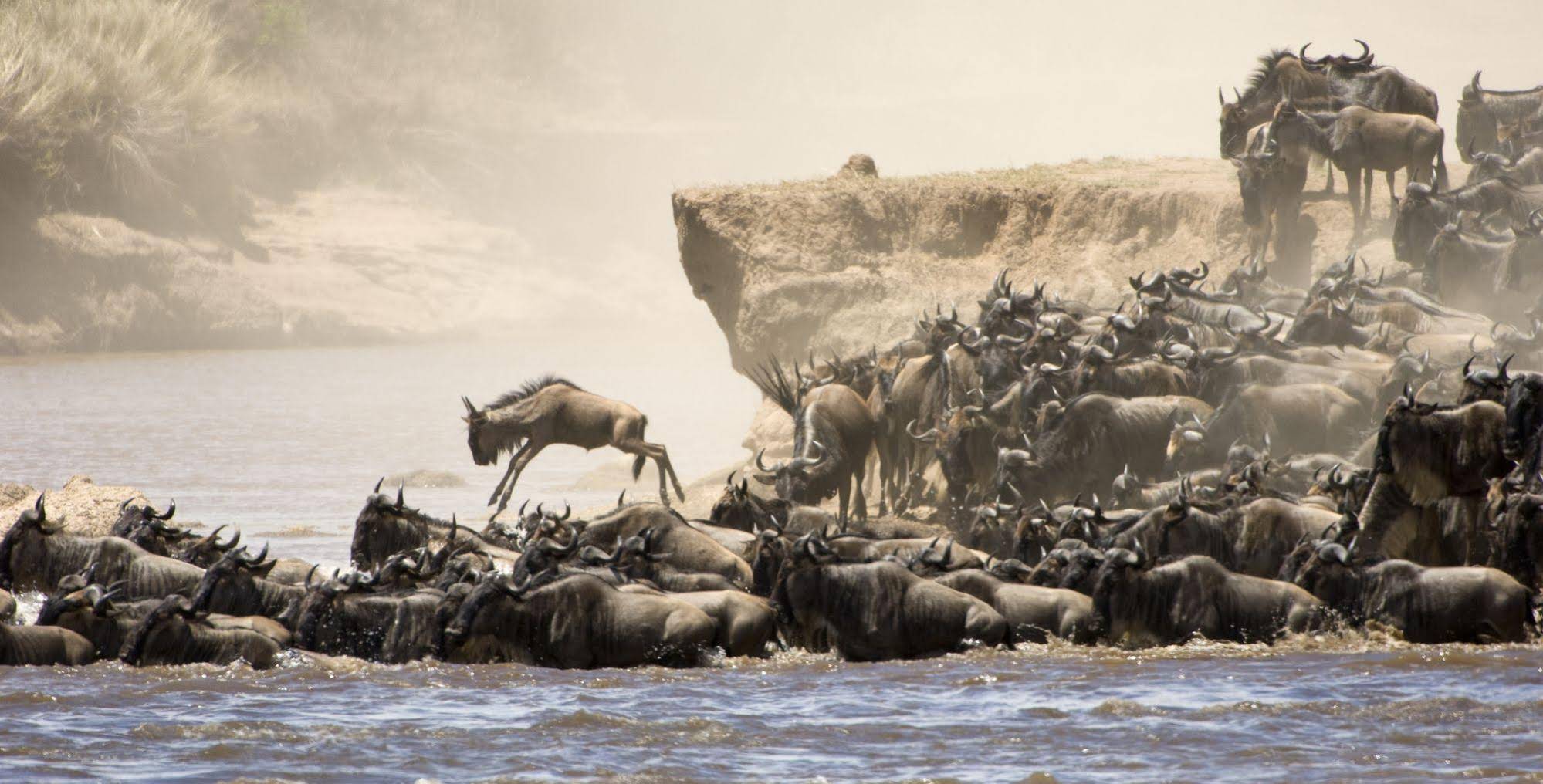 Basecamp Masai Mara