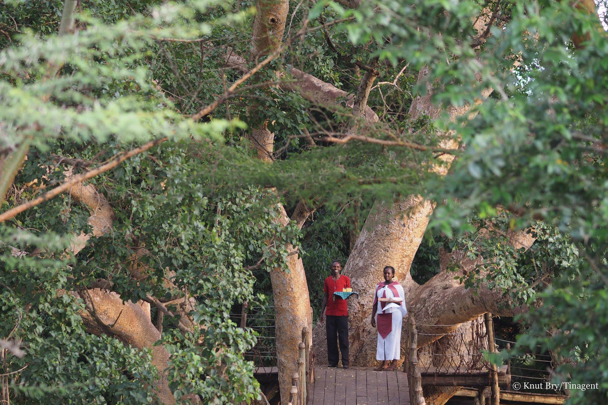 Basecamp Masai Mara