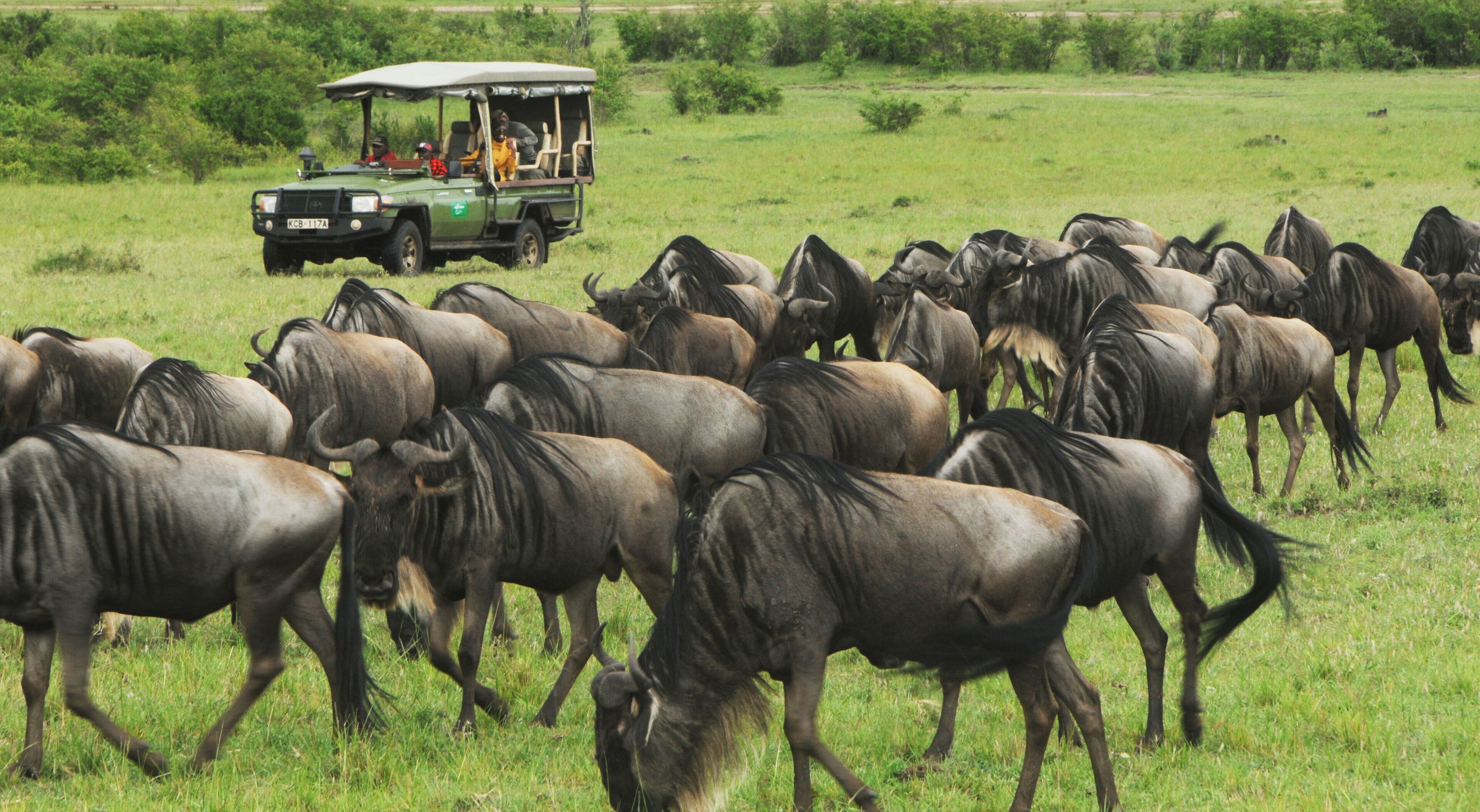 Castel Mara Camp