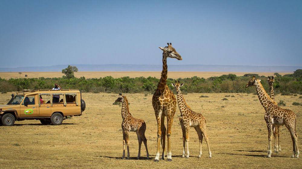 Mara Leisure Camp