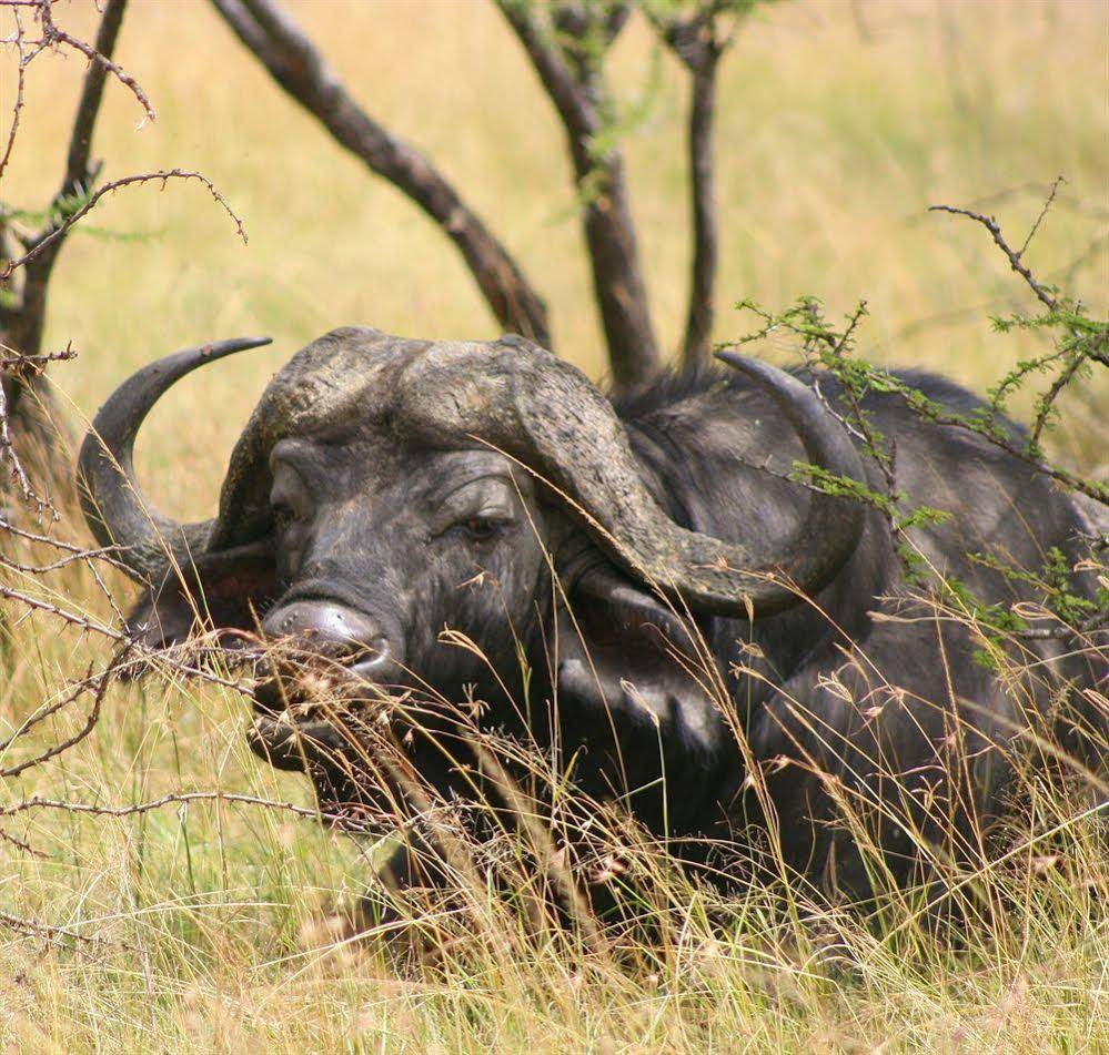 Naboisho Camp