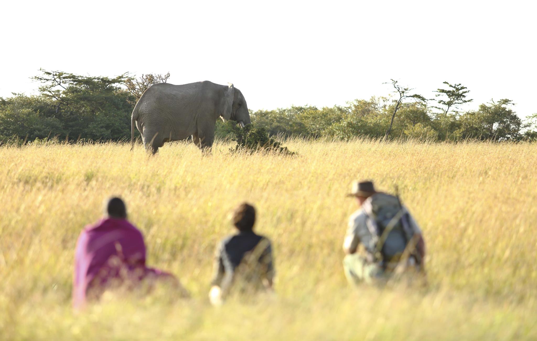 Naboisho Camp