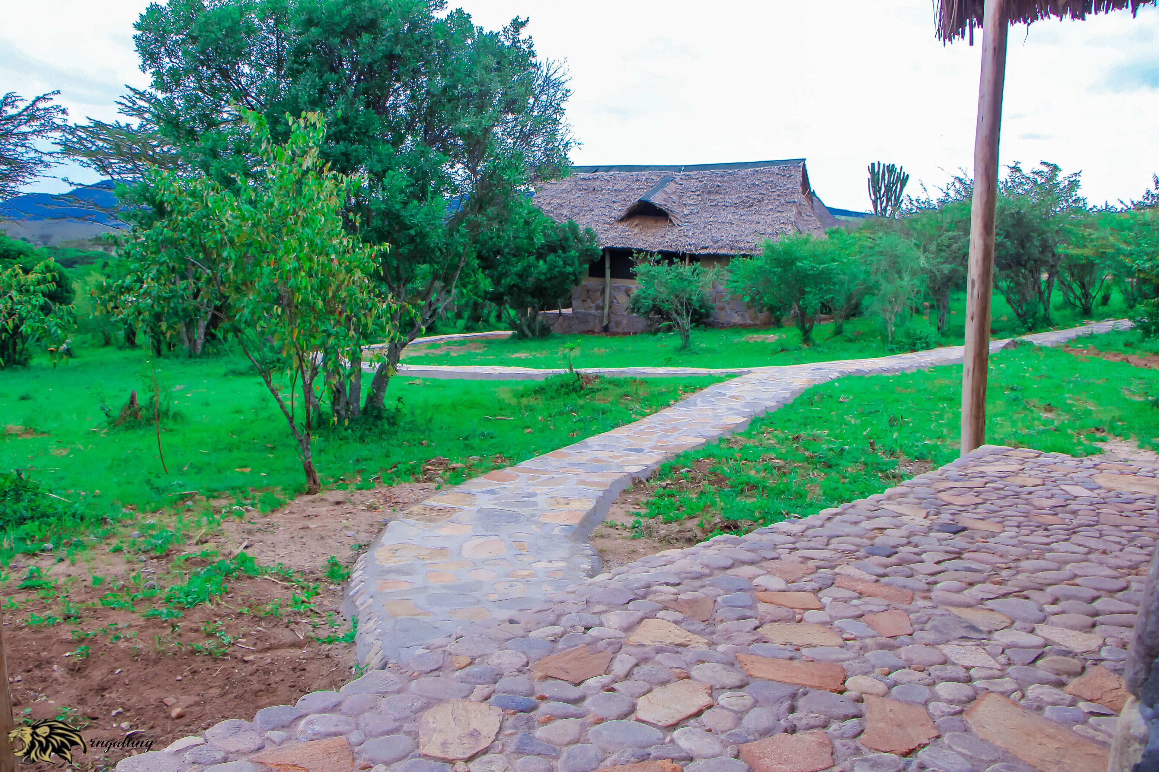 Orngatuny Mara King Camp
