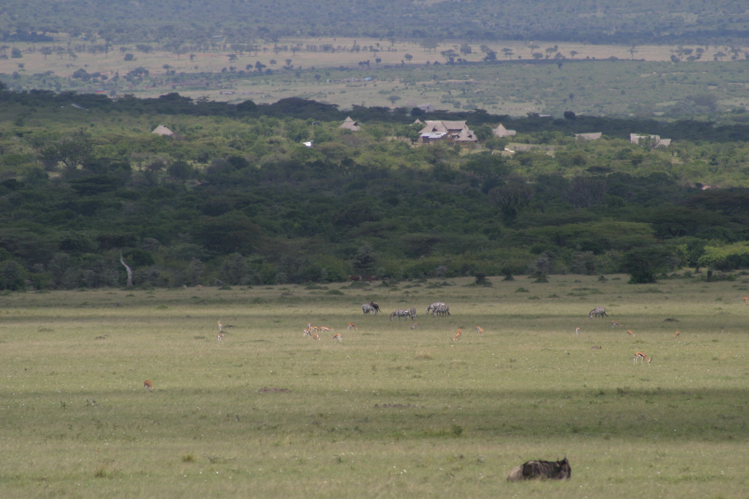 Orngatuny Mara King Camp