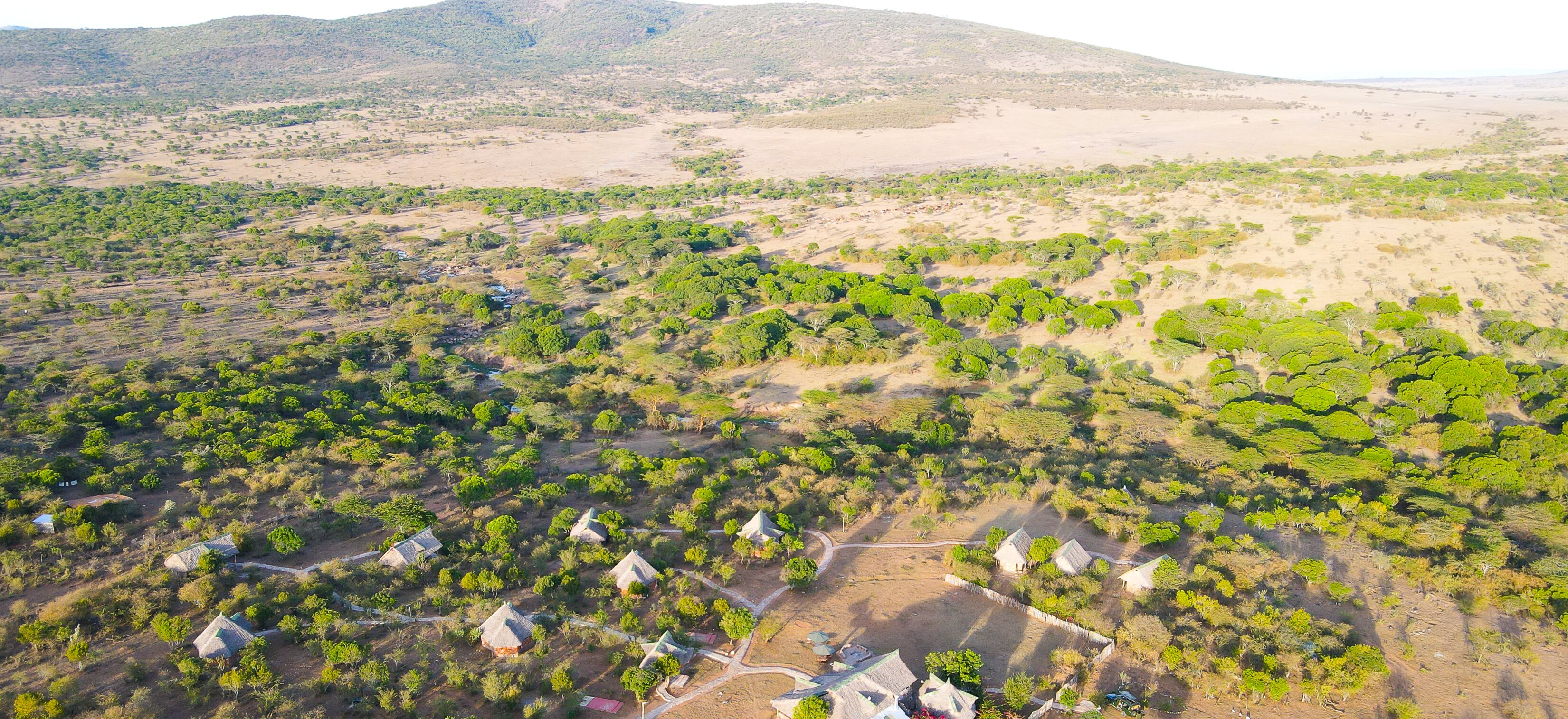 Orngatuny Mara King Camp