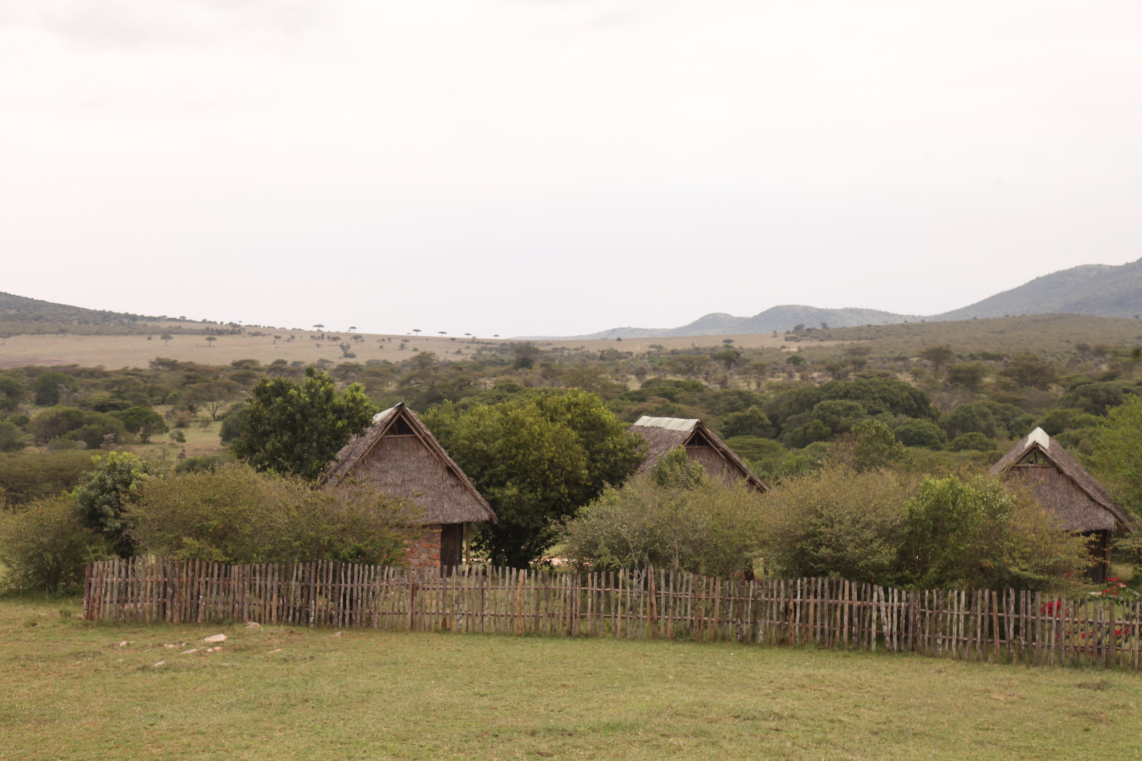 Orngatuny Mara King Camp