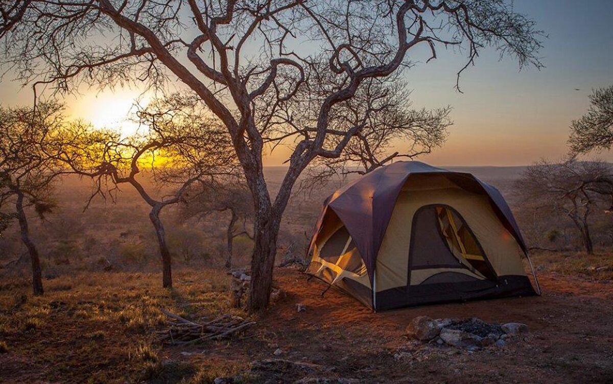 Cheetah Campsite Lumo