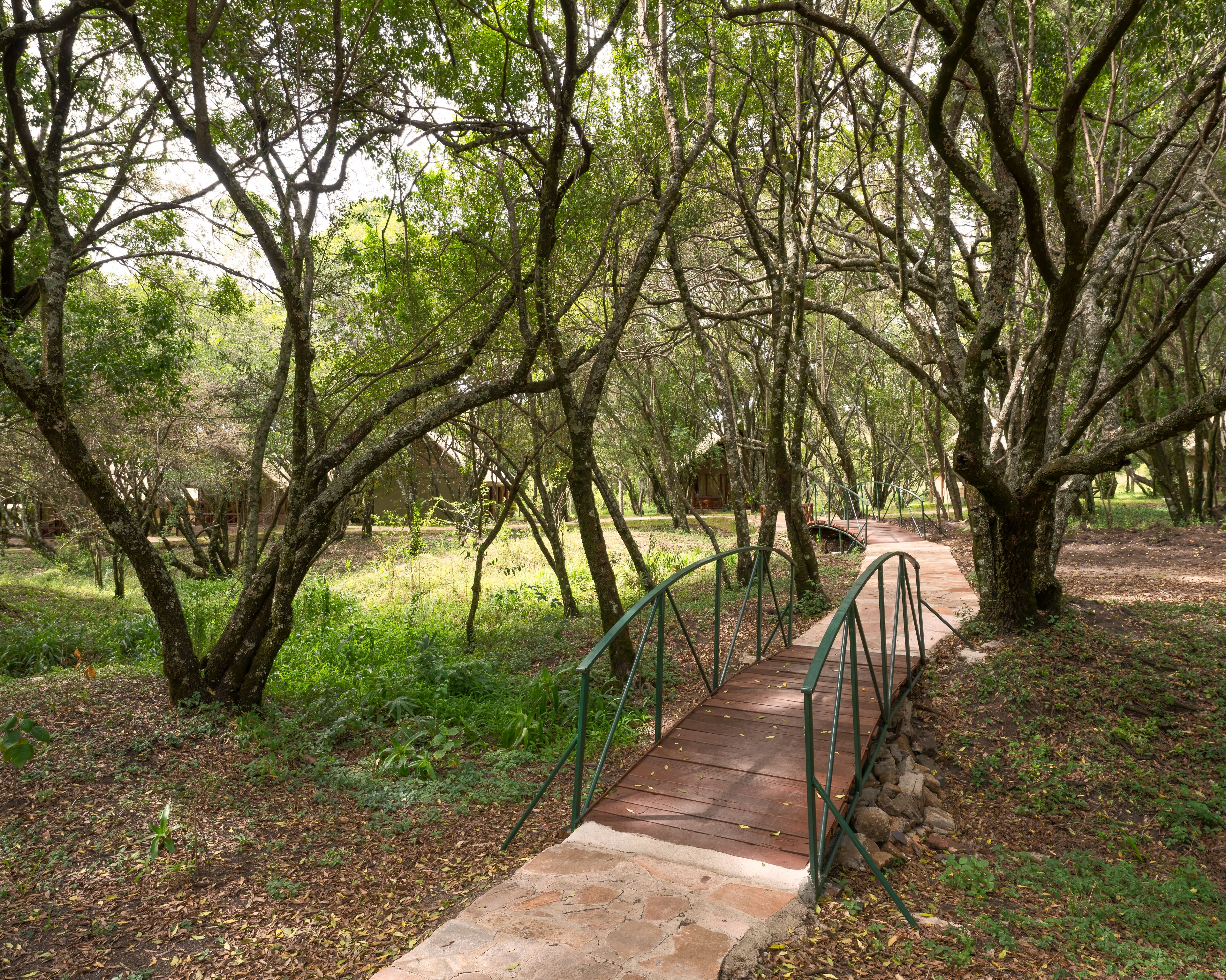 Kimana Mara Tented Camp
