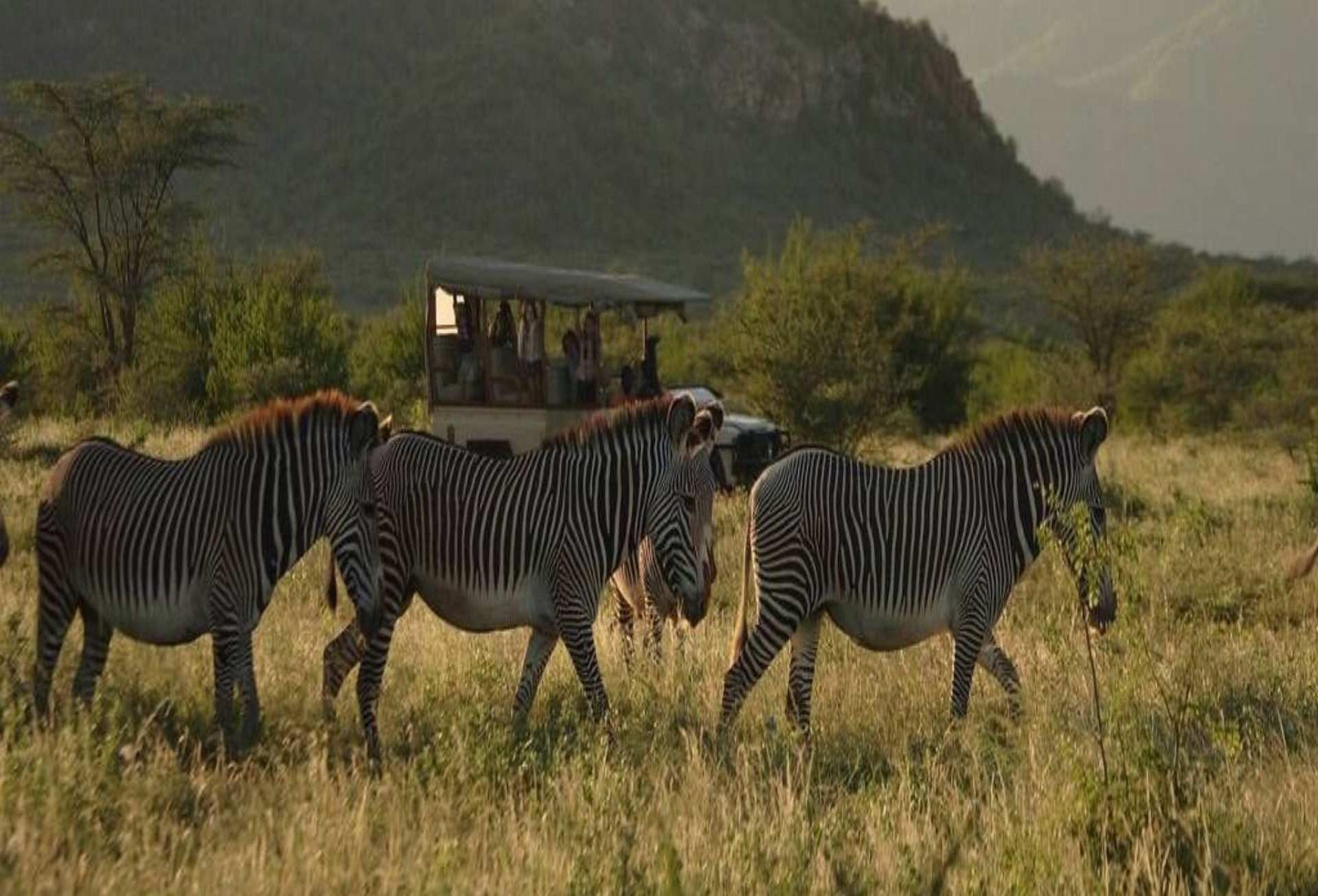 Saruni Samburu