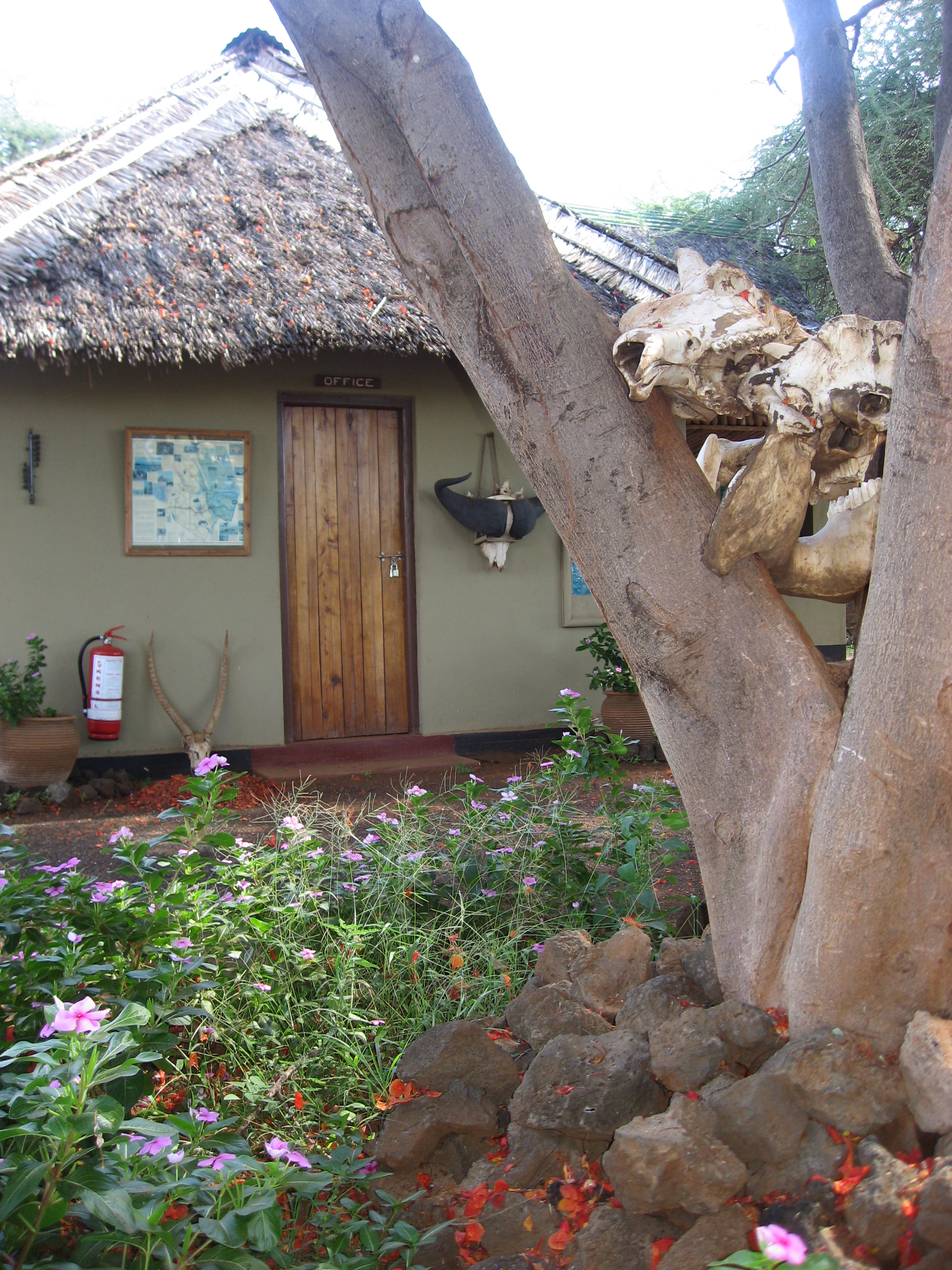 Severin Safari Camp