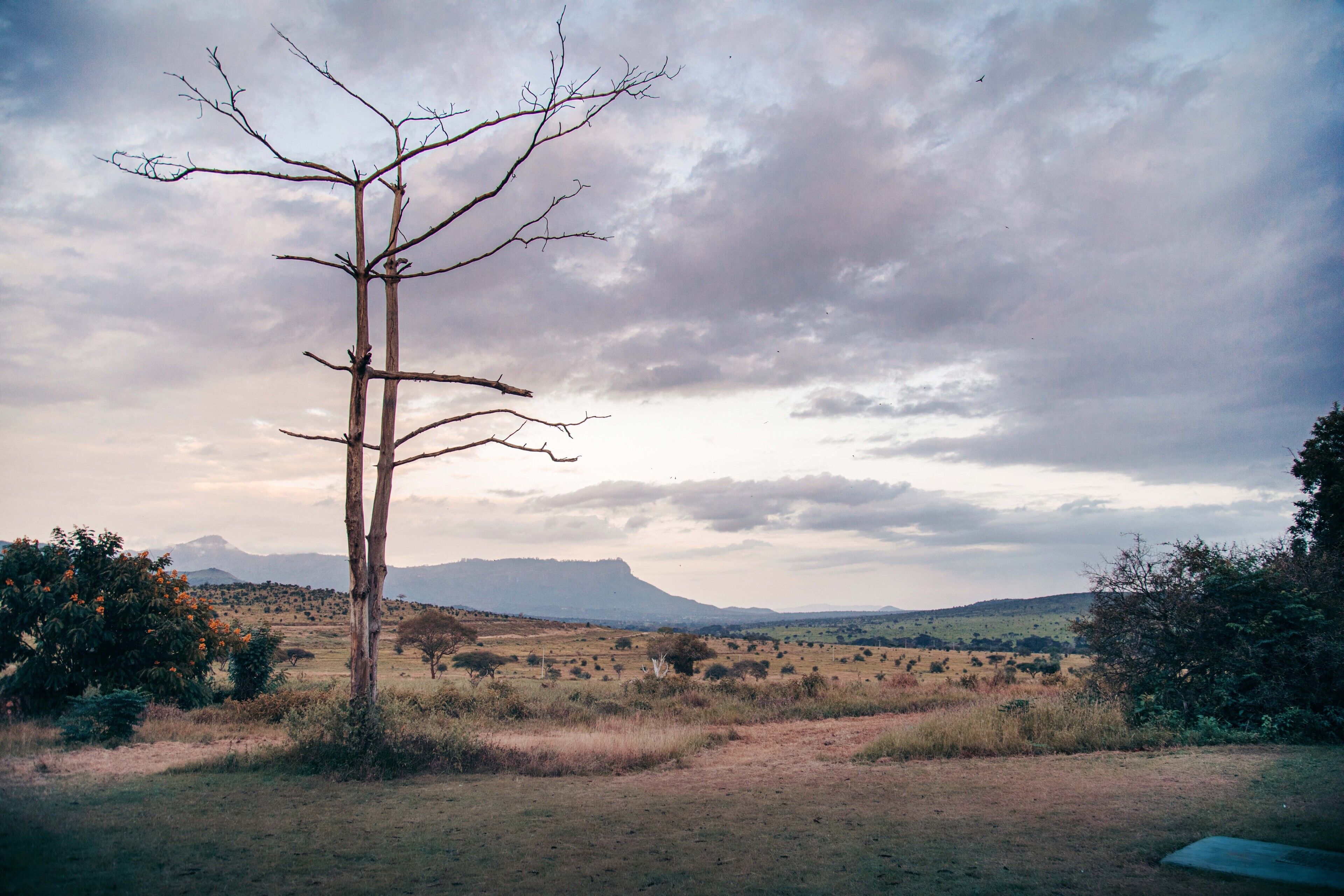 Taita Hills Safari Resort & Spa