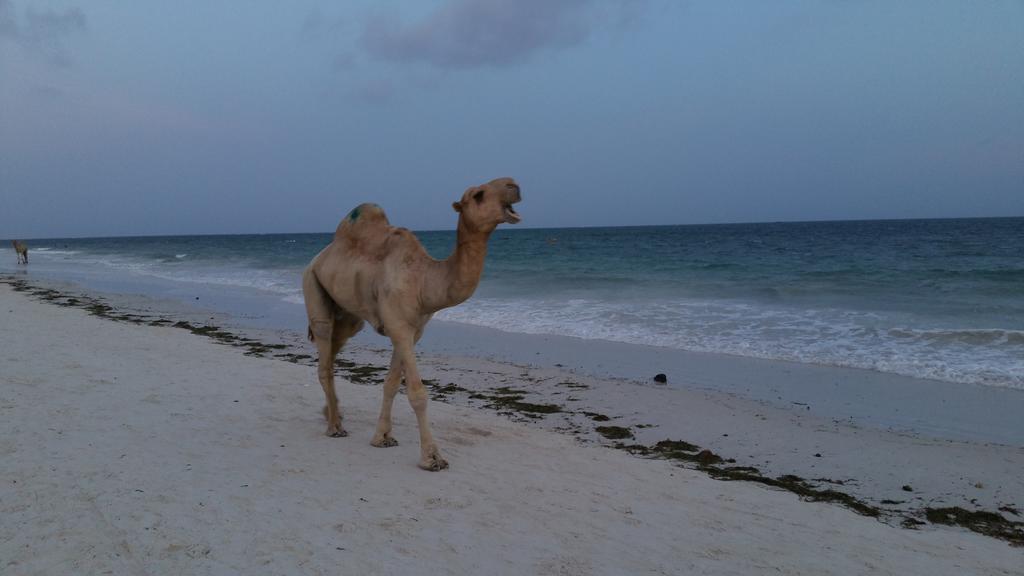 Muthu Nyali Beach Hotel and Spa, Nyali, Mombasa