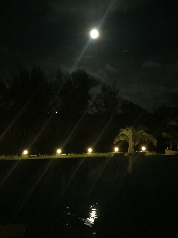 Mangrove River Resort