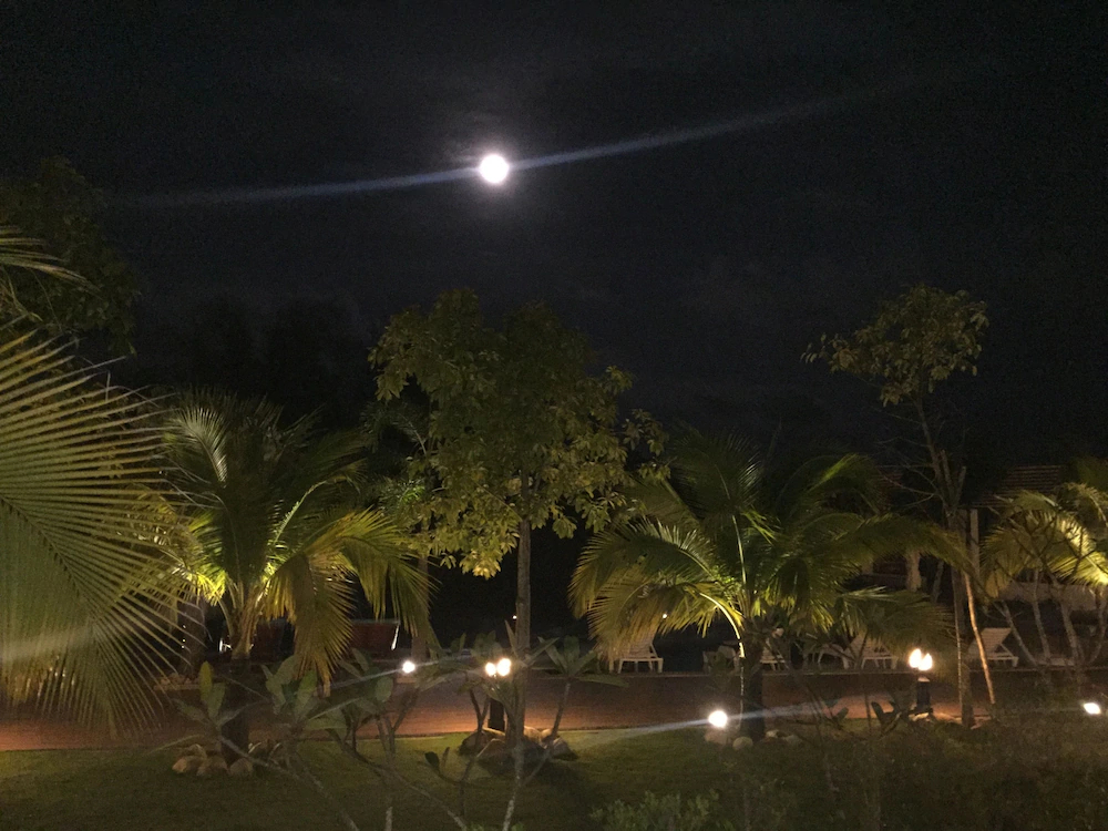 Mangrove River Resort