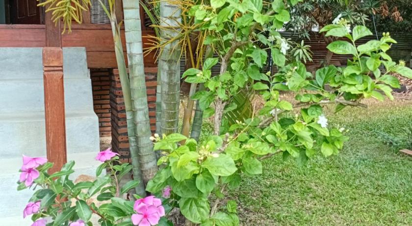 The Hidden Oasis Bungalows
