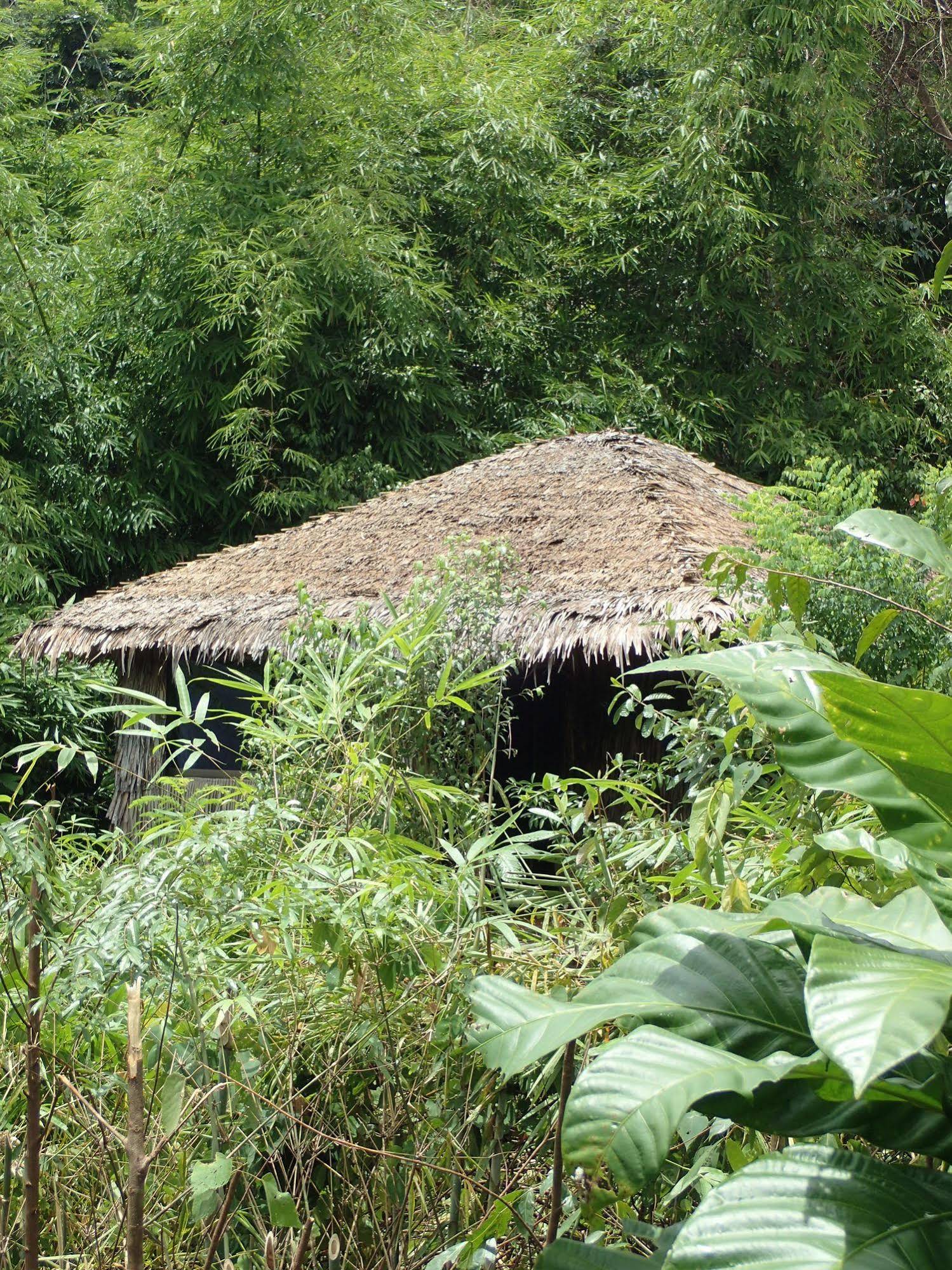 Rainbow Lodge