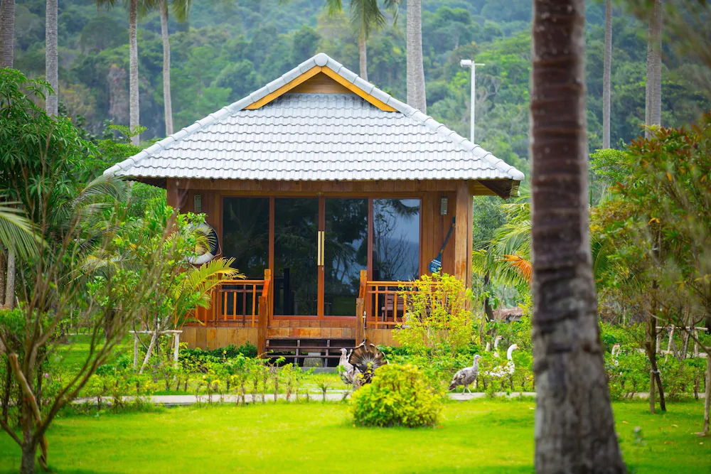 Mafiya's Resort