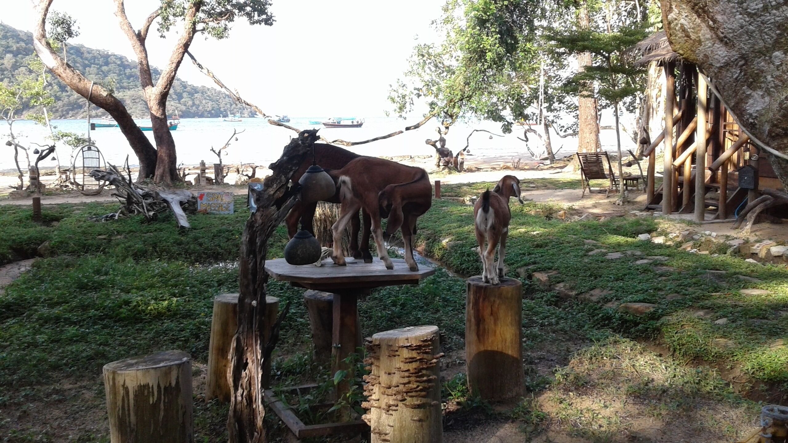 Cupido Beach SPA Resort