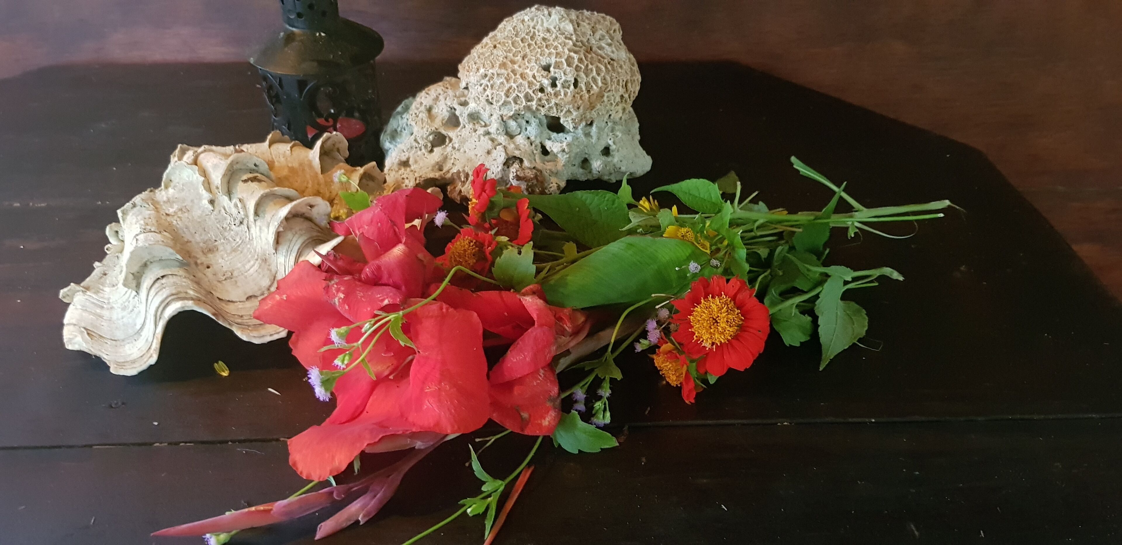 Cupido Beach SPA Resort