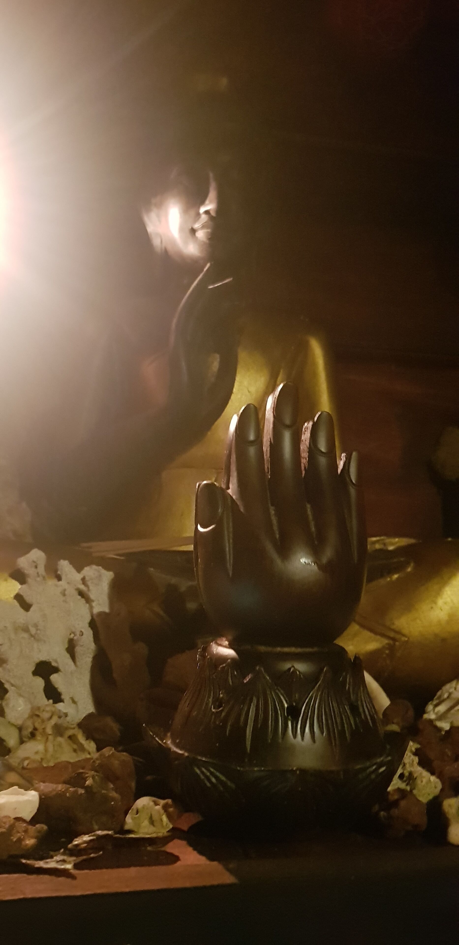 Cupido Beach SPA Resort