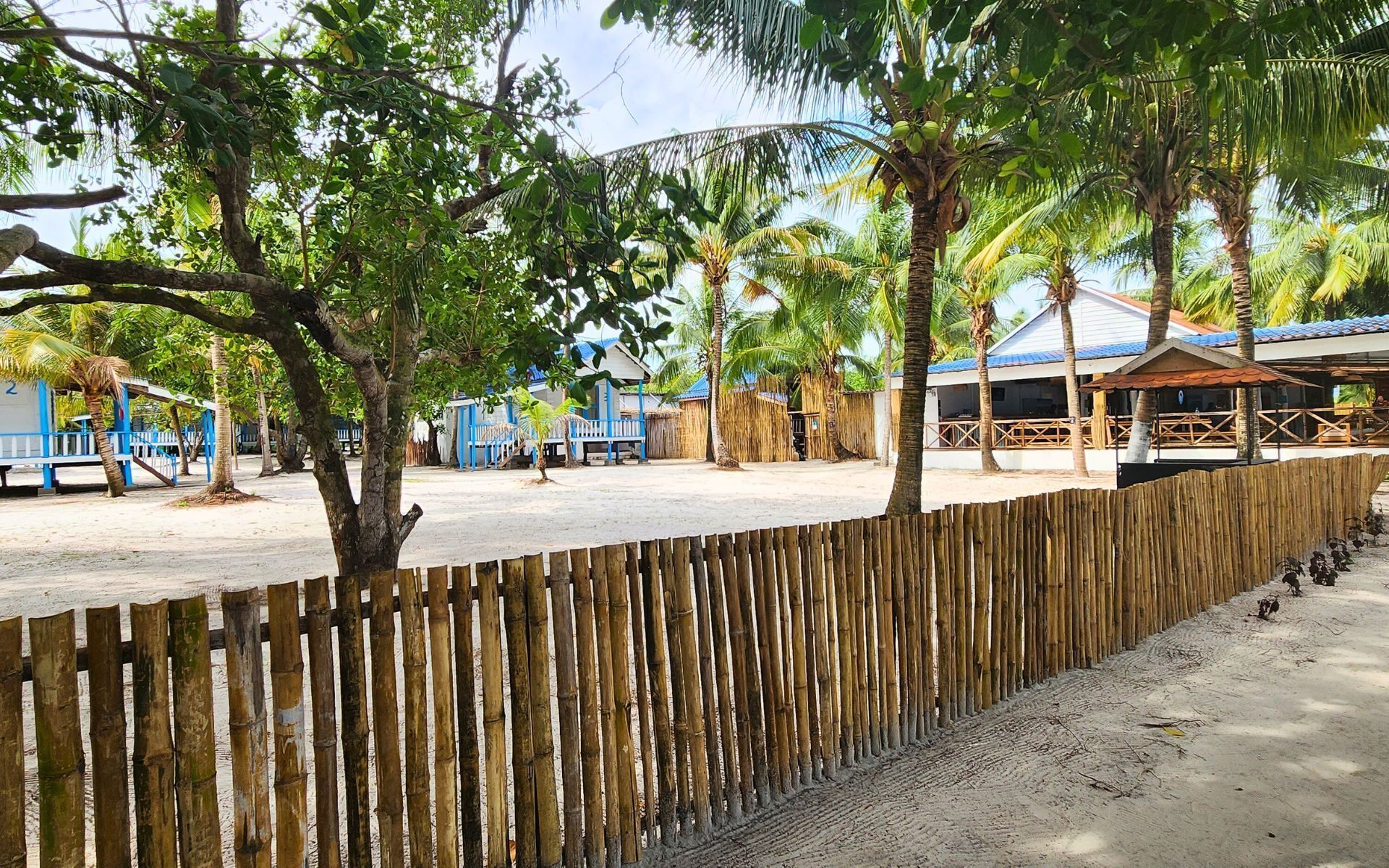 Mad Monkey Koh Rong Samloem