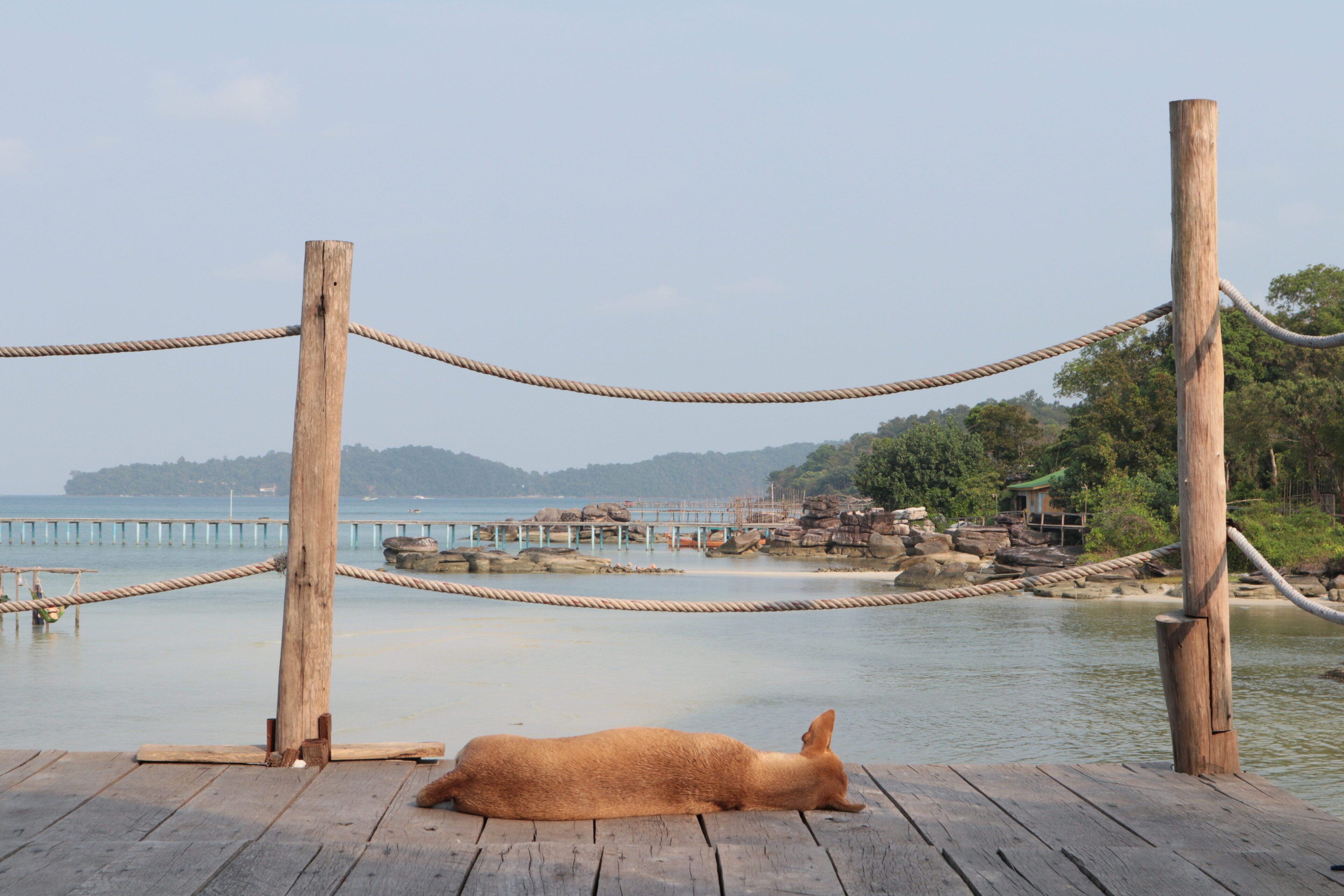 Mad Monkey Koh Rong Samloem