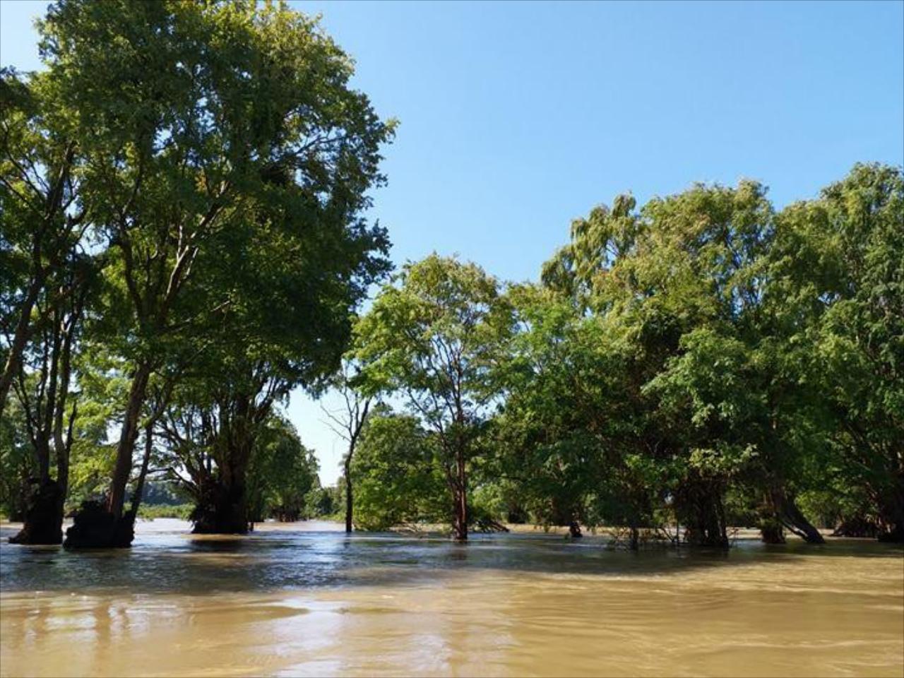 Silver Dolphin Guesthouse