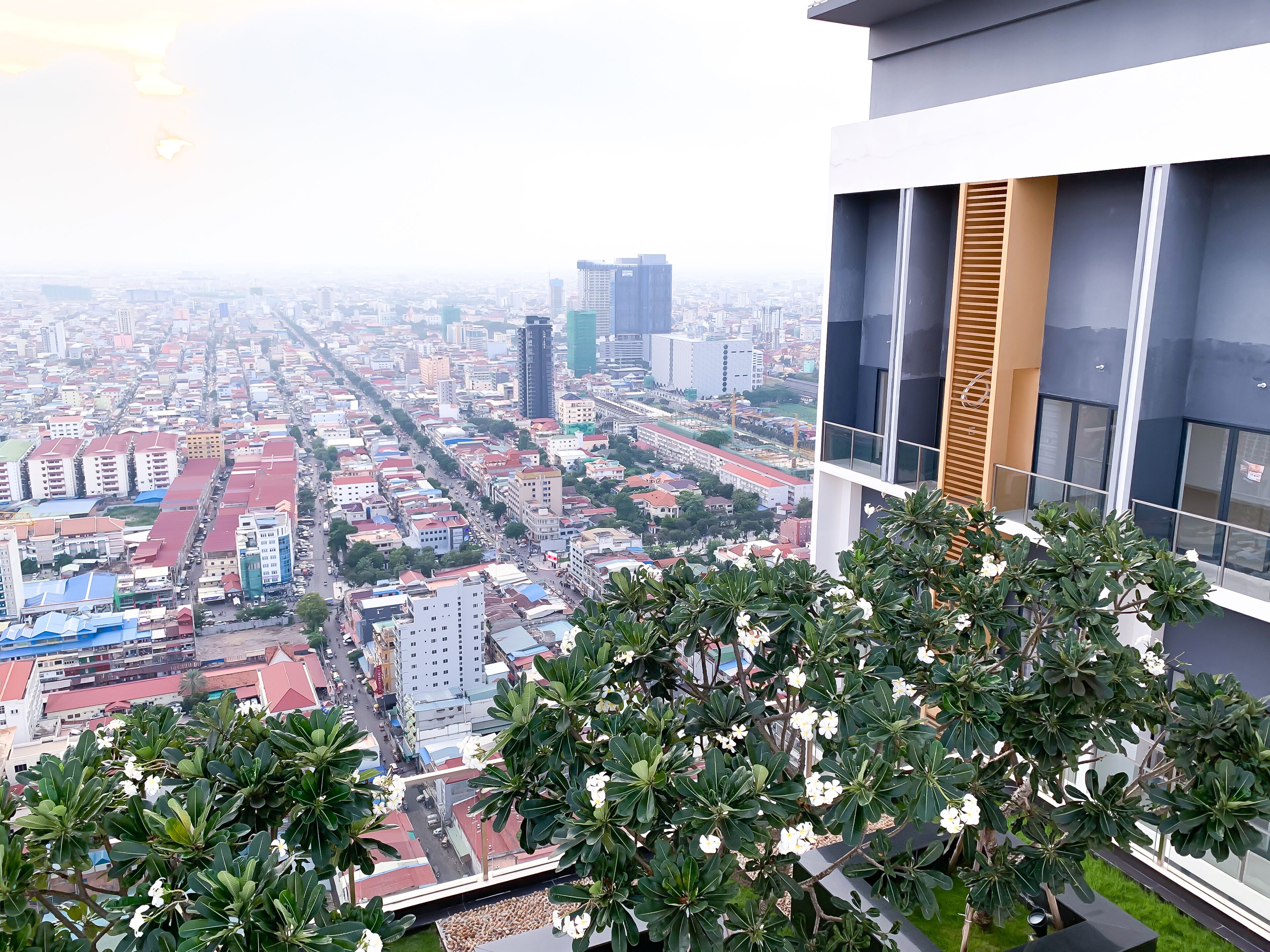 D Suites