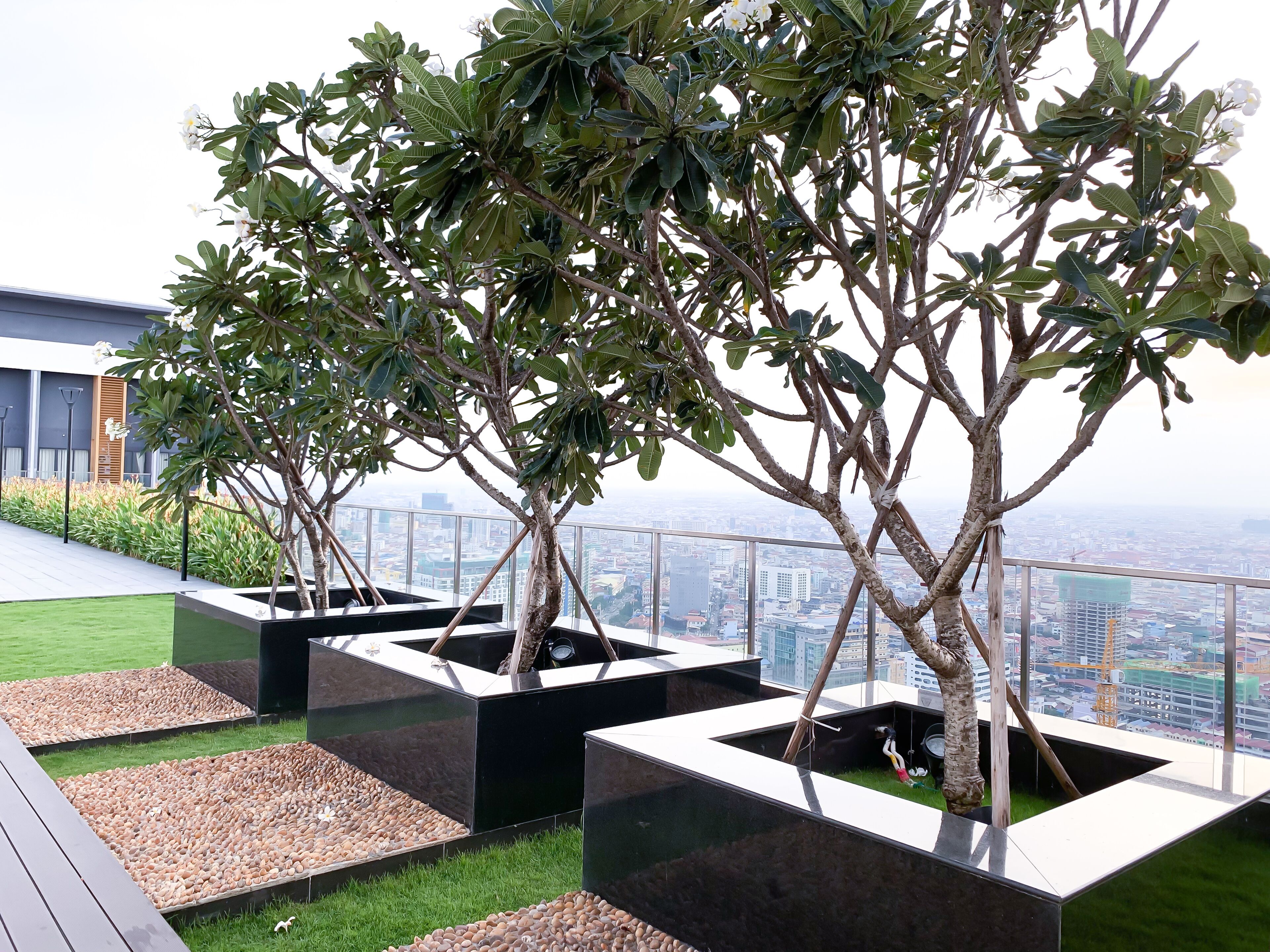 D Suites