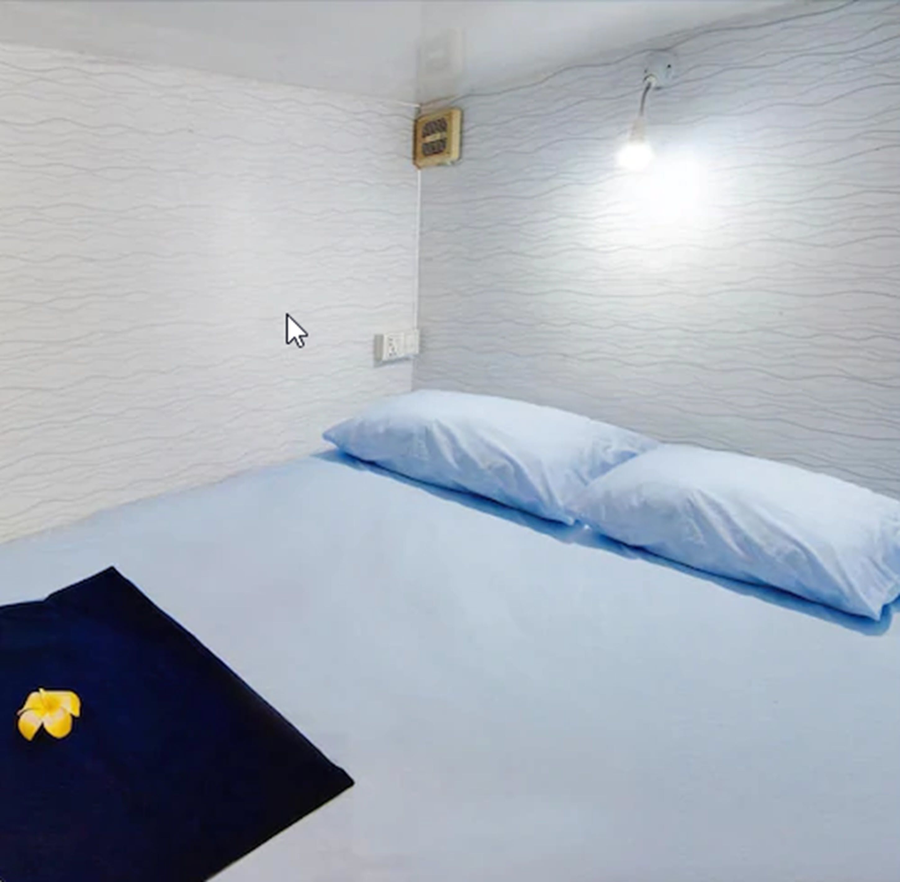 Eighty8 Backpackers Hostel