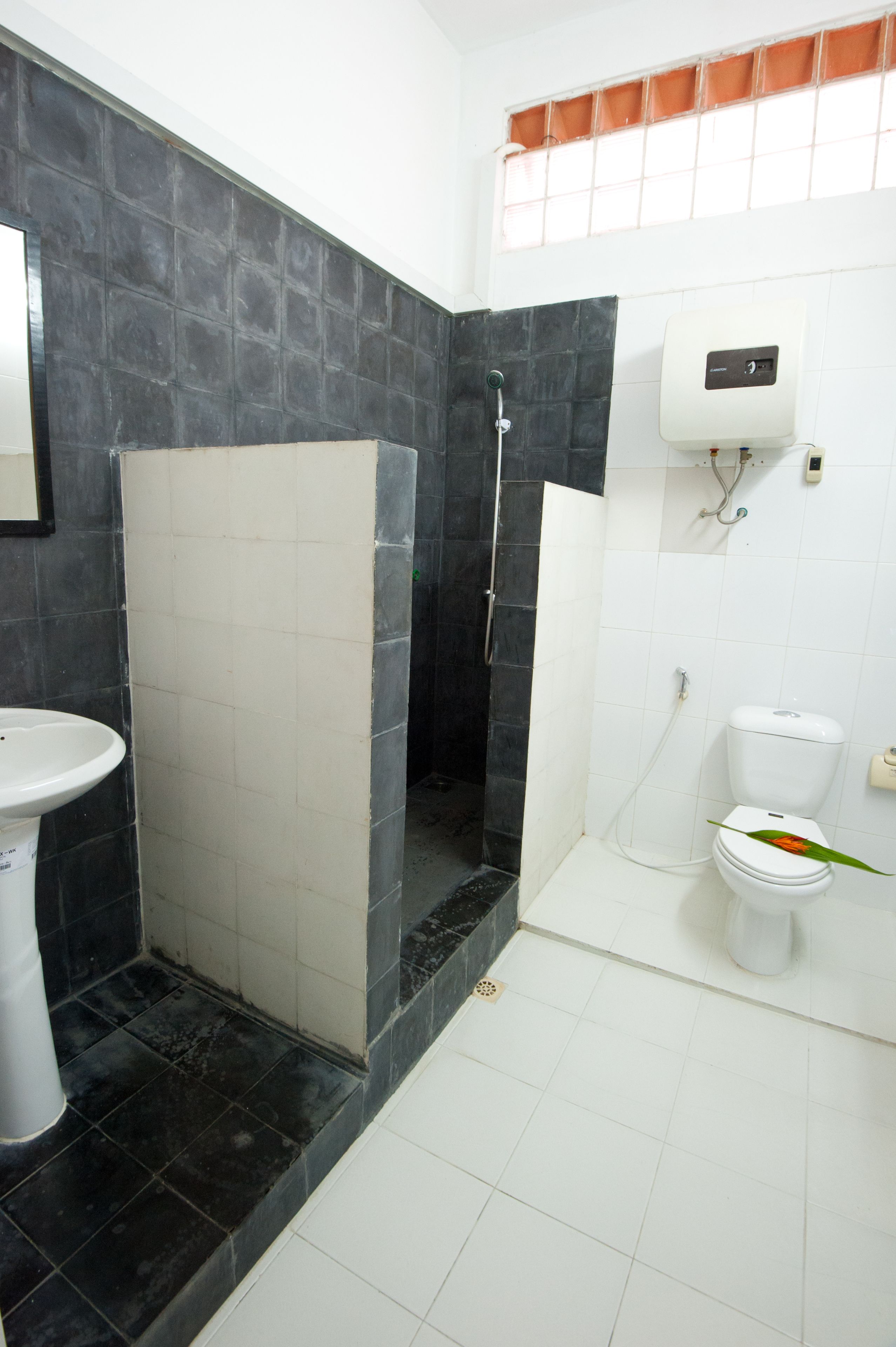 Eighty8 Backpackers Hostel