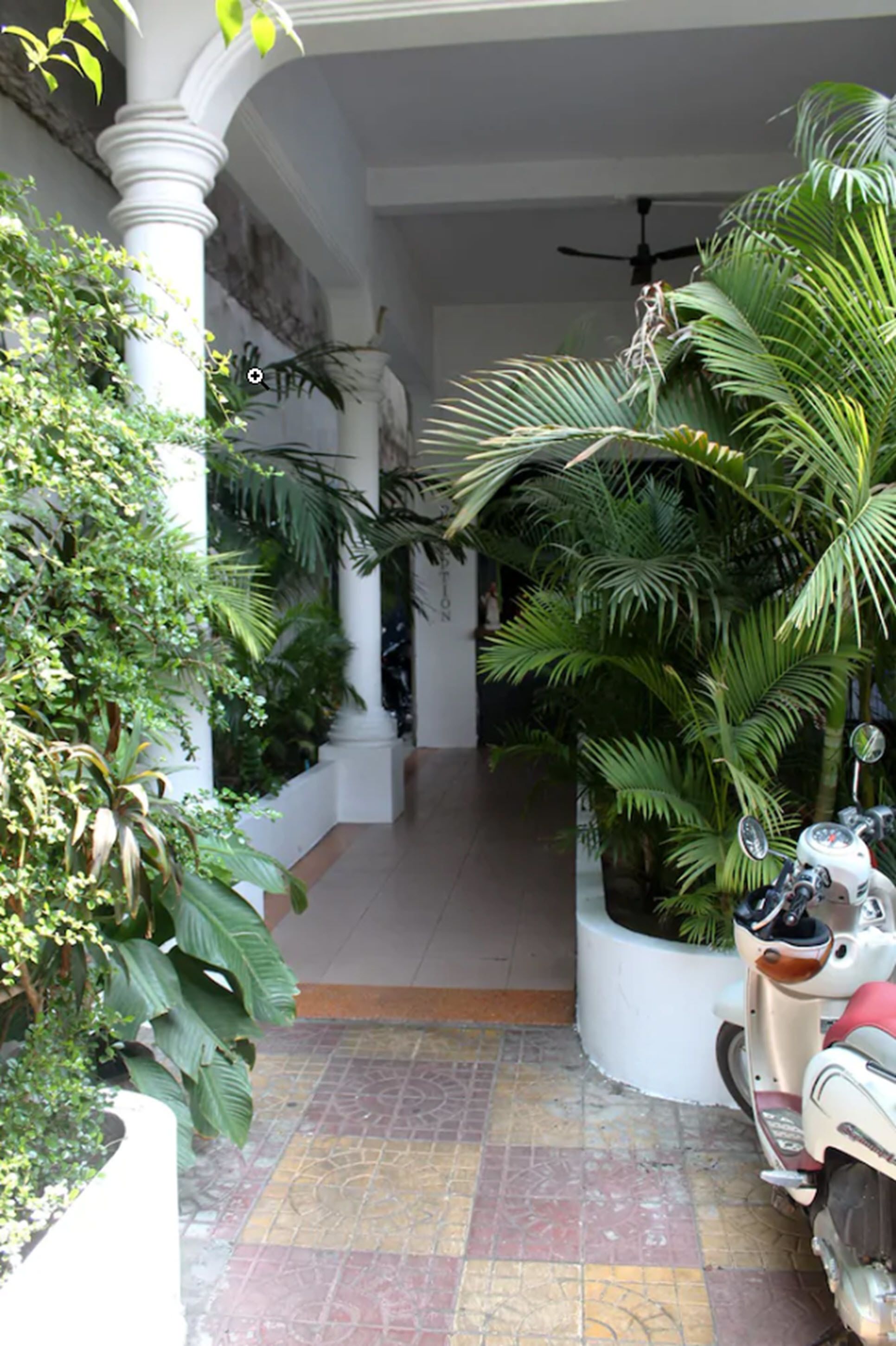 Eighty8 Backpackers Hostel