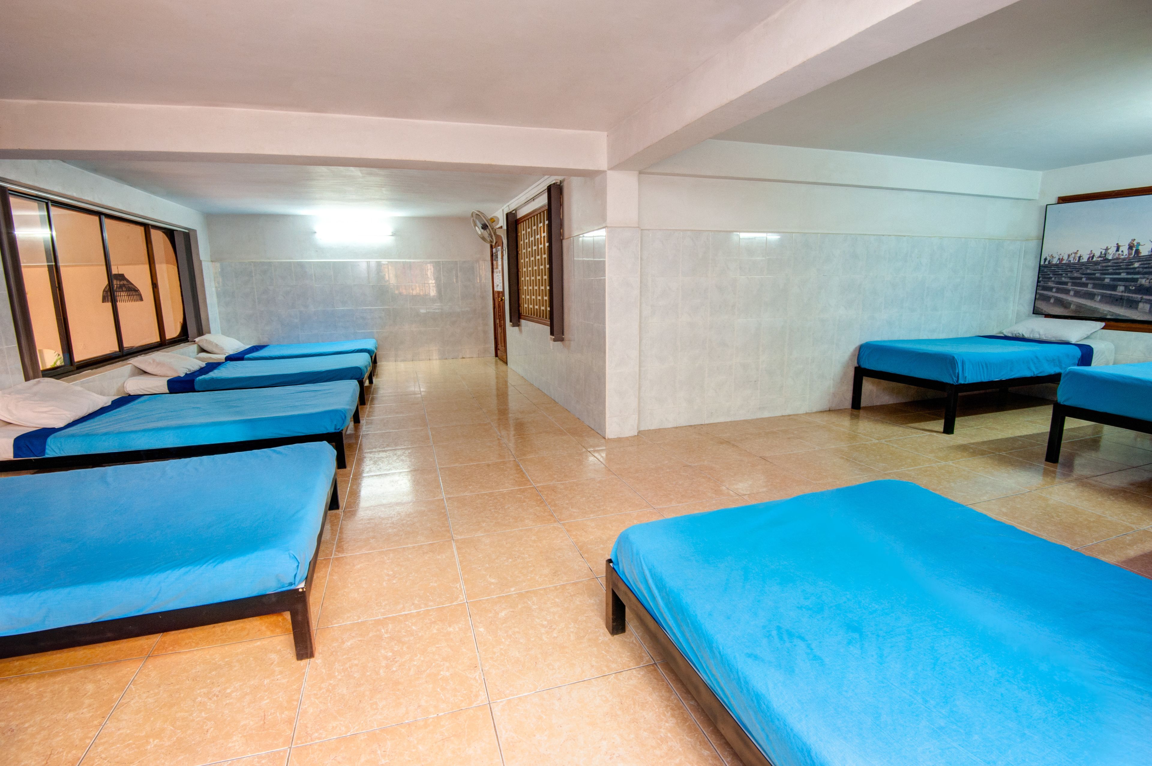 Eighty8 Backpackers Hostel