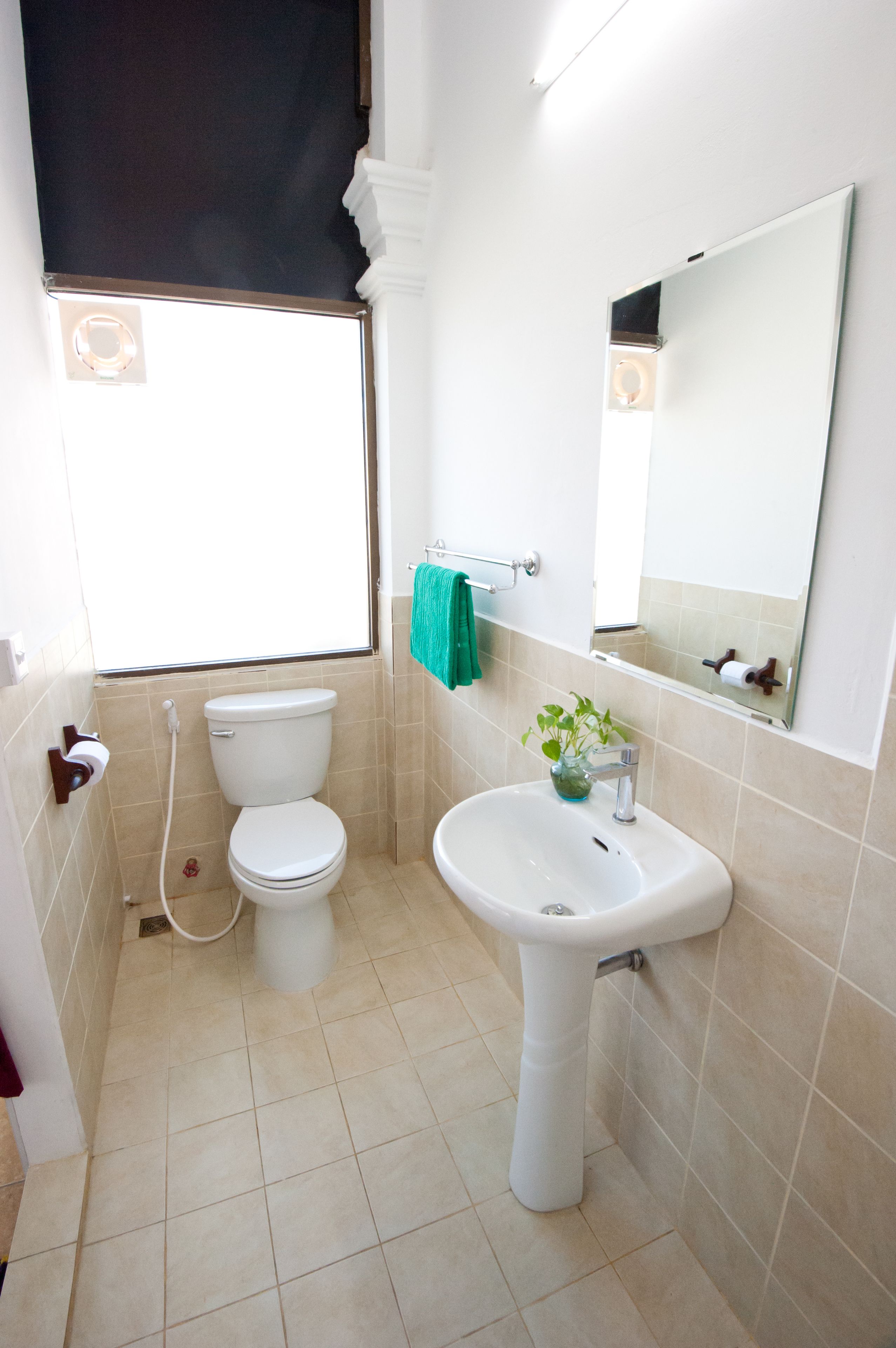 Eighty8 Backpackers Hostel