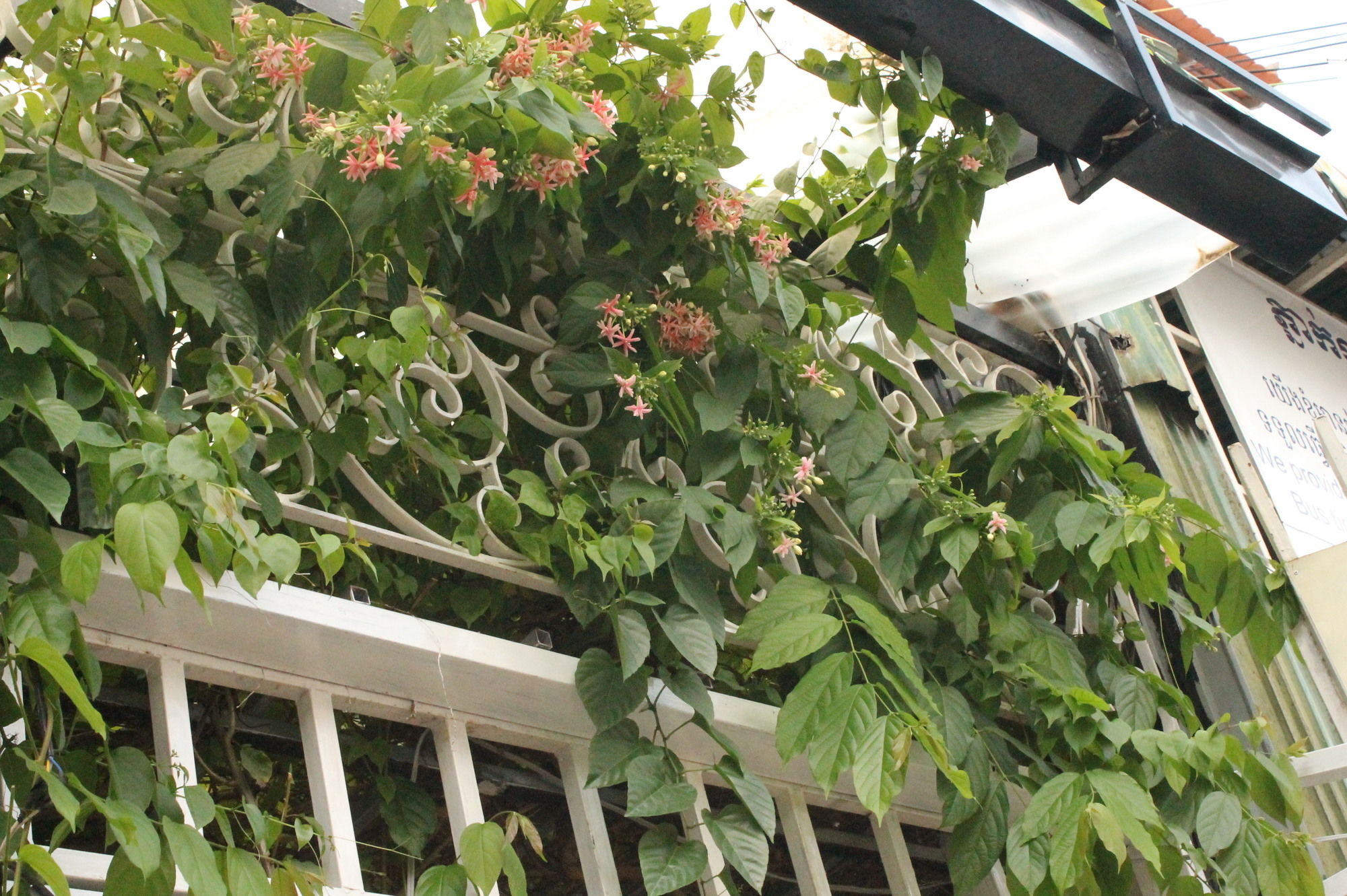 The Flora Boutique Hotel