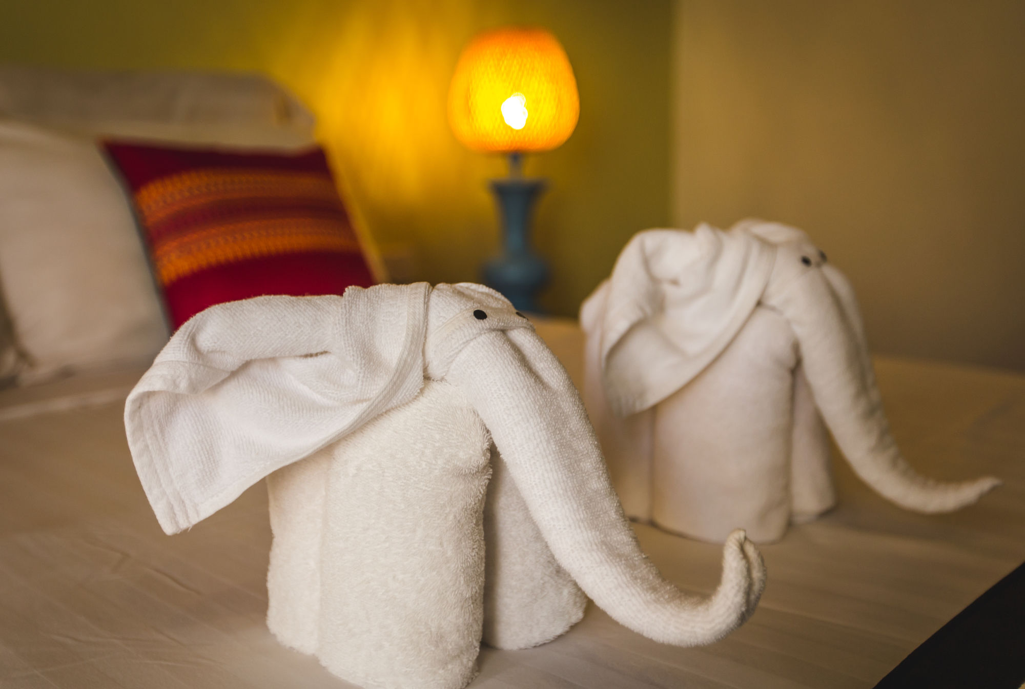 Baby Elephant Boutique Hotel
