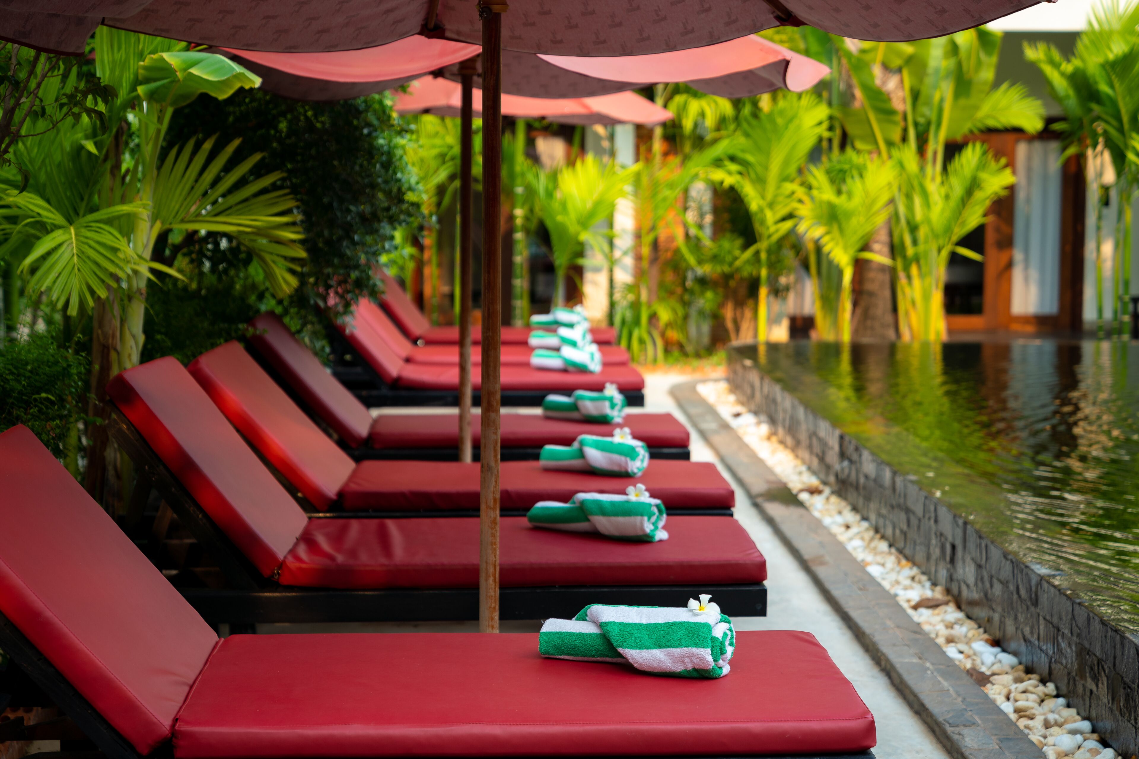 Bopha Wat Bo Residence