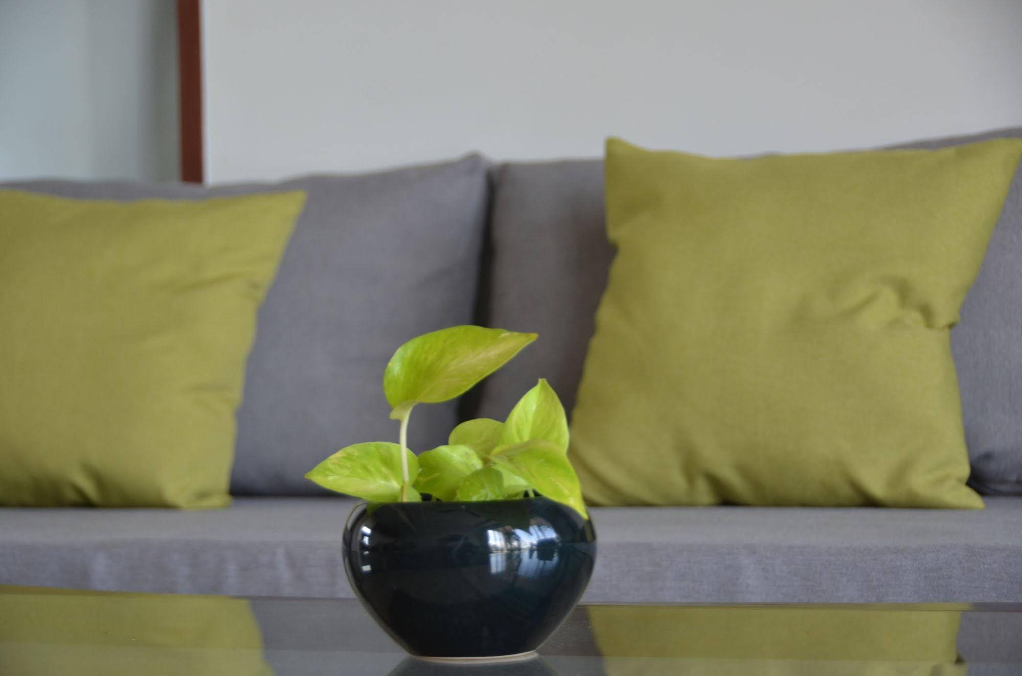 Filia D'Angkor Boutique Villa