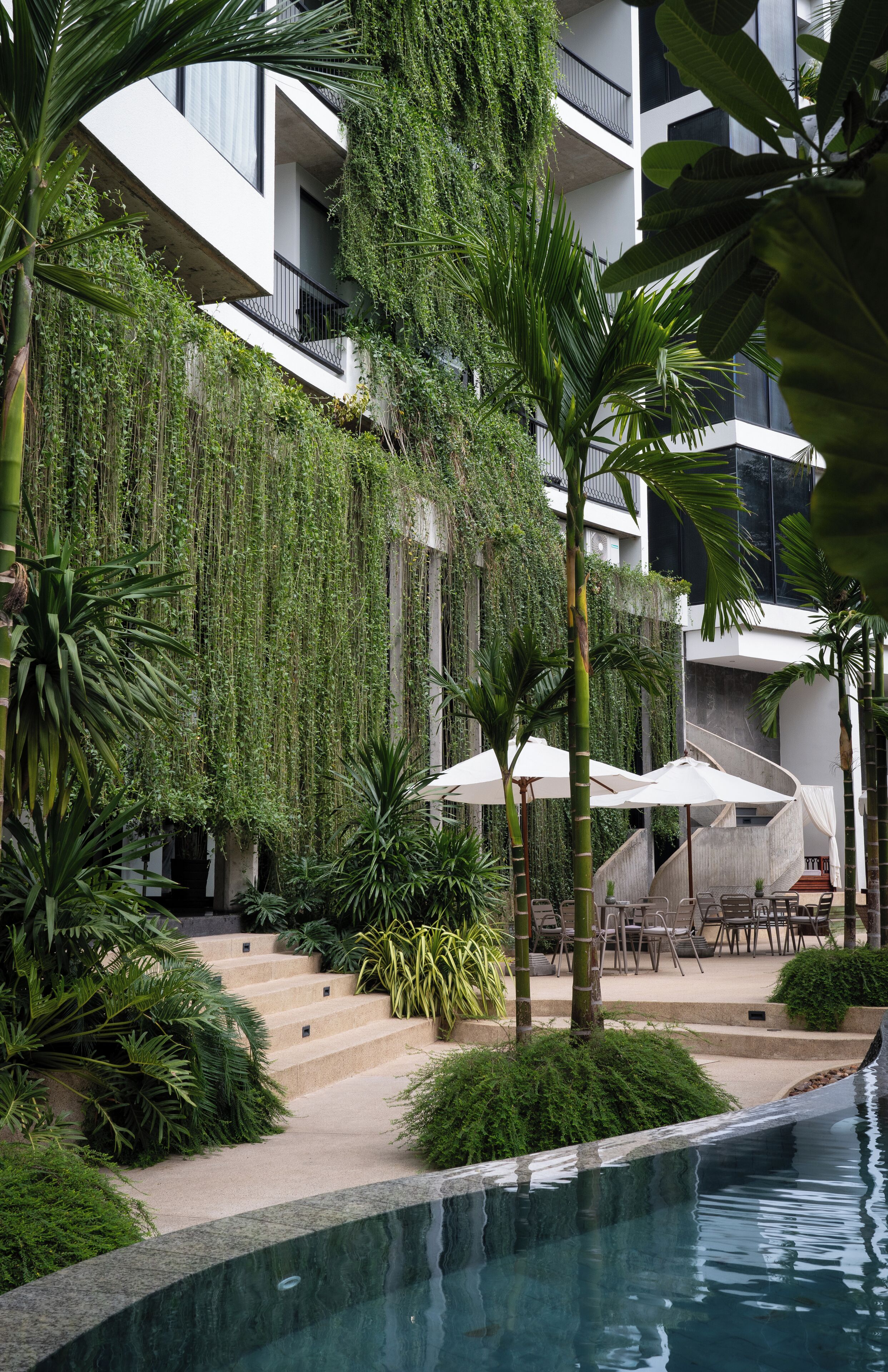 Hotel Vellita Siem Reap