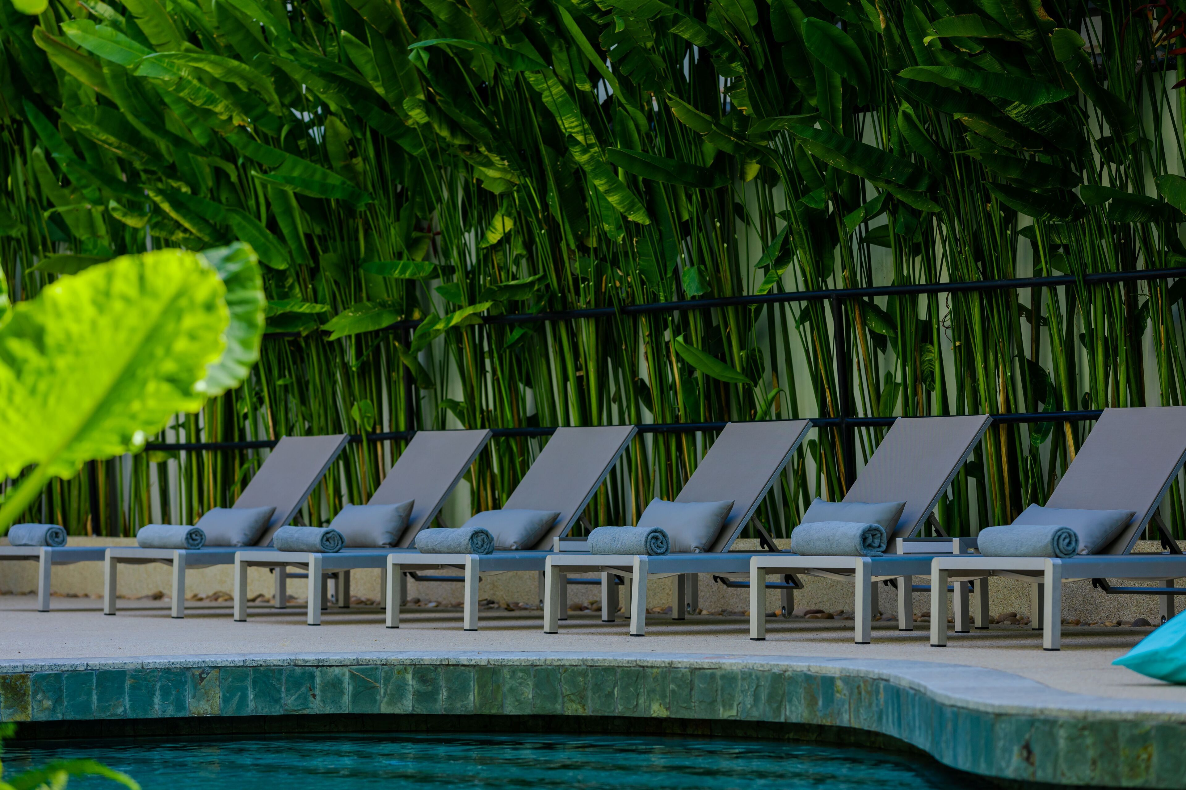 Hotel Vellita Siem Reap