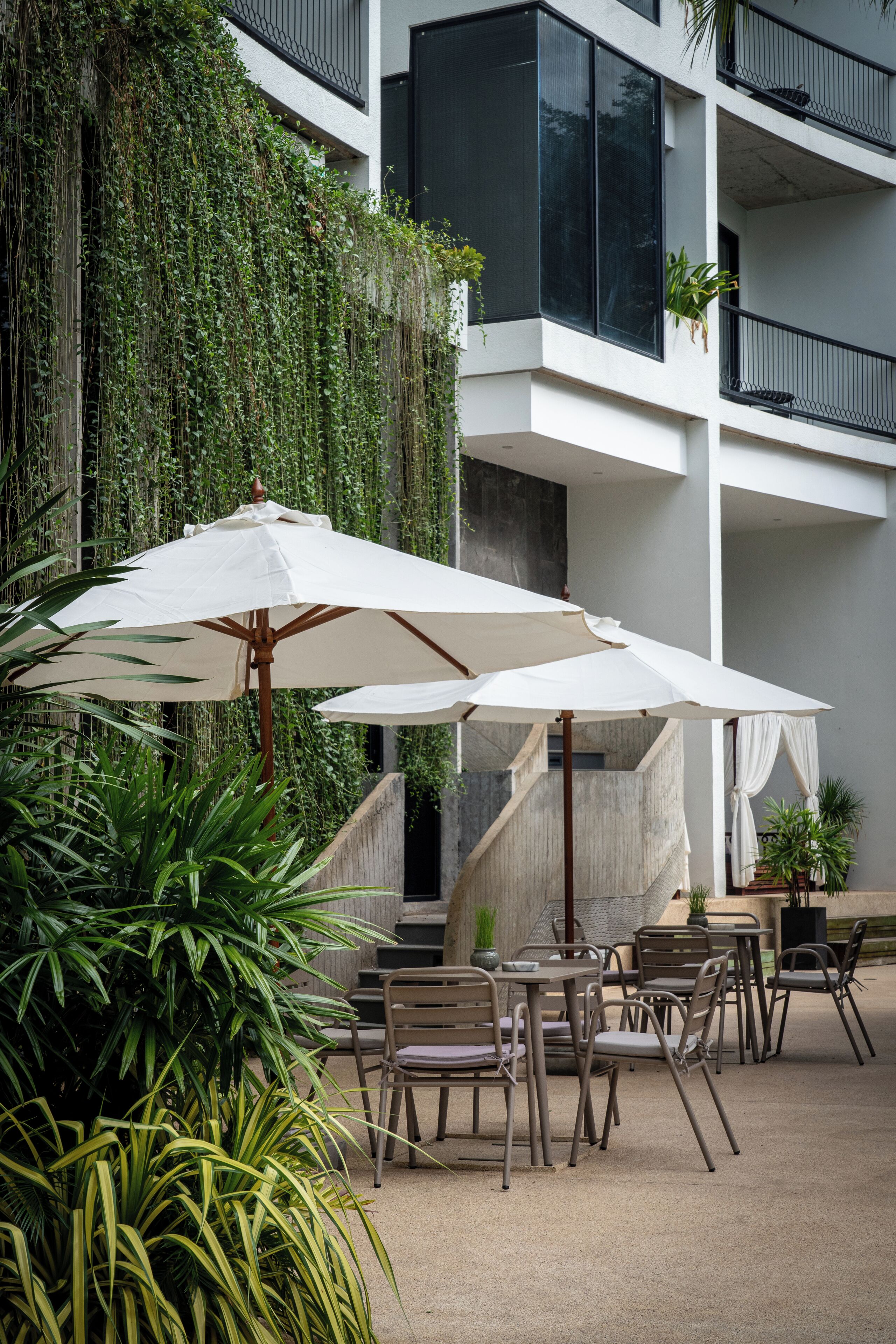 Hotel Vellita Siem Reap