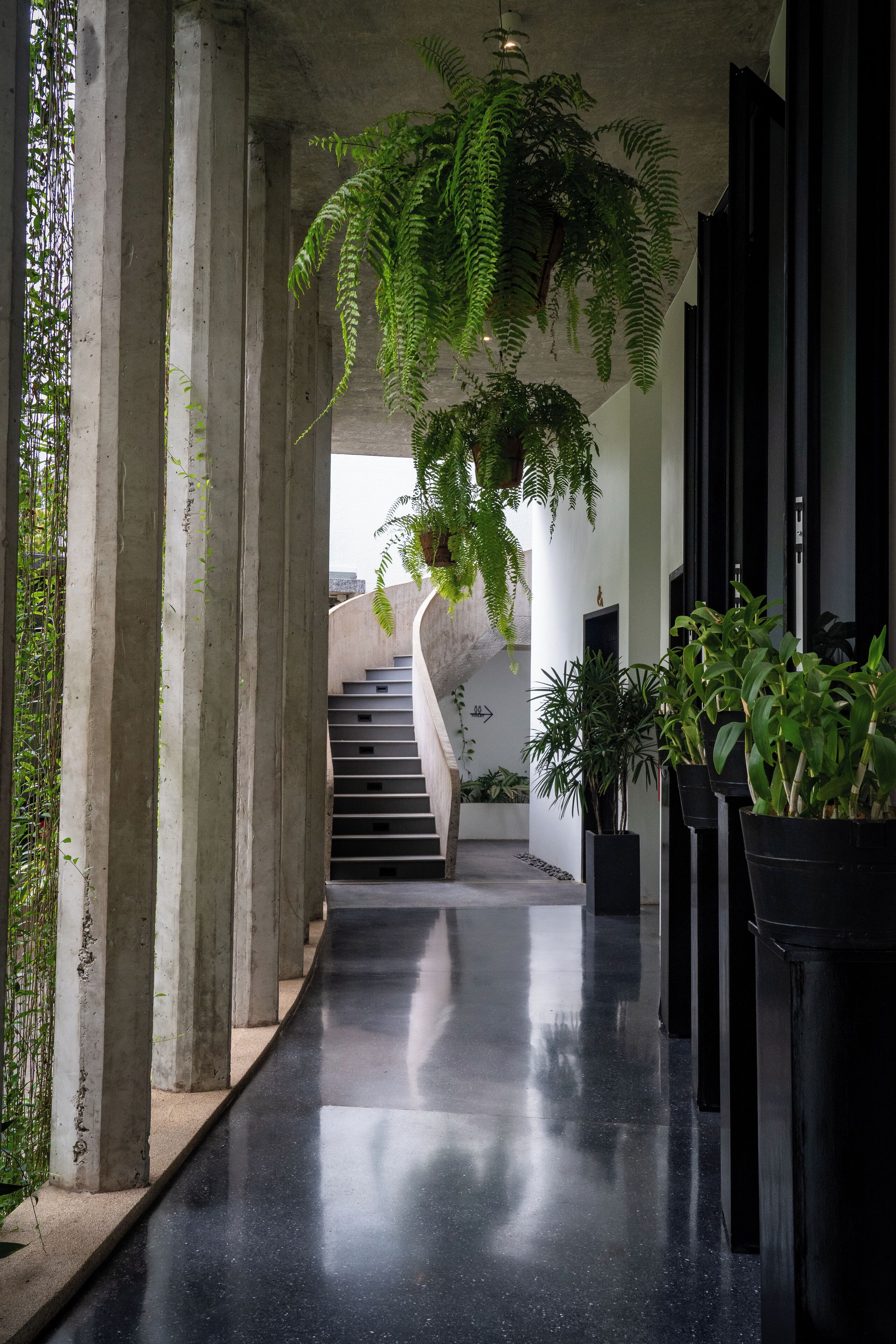Hotel Vellita Siem Reap