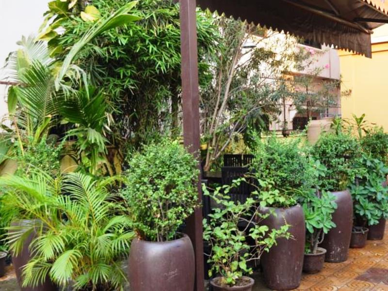Long Live Angkor Villa
