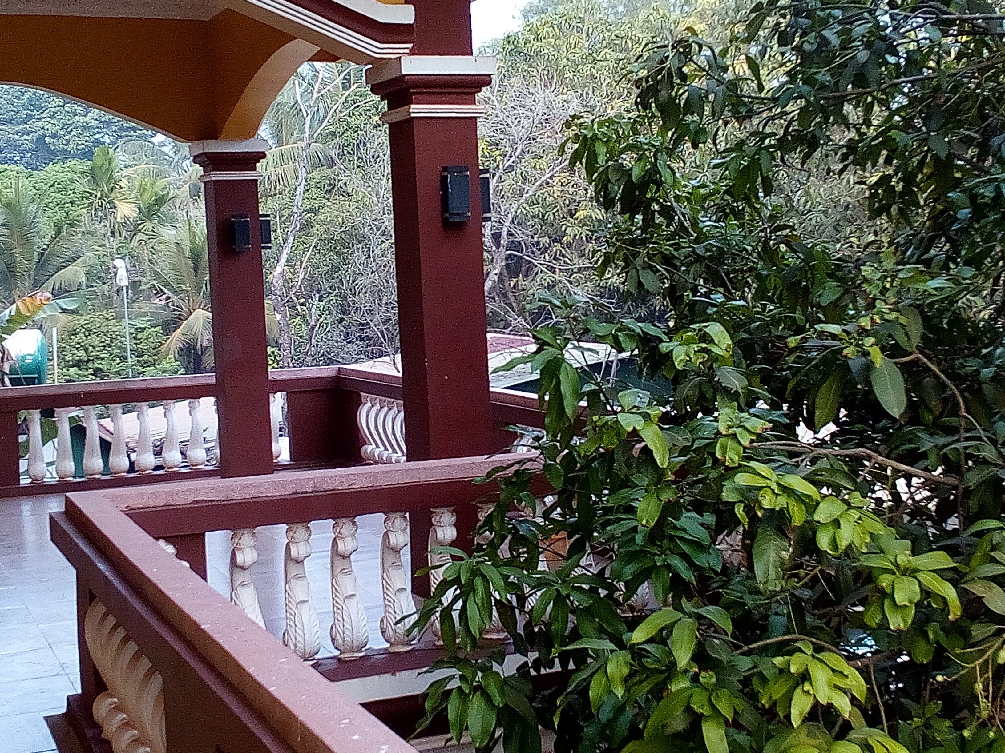 Mango Villa Siem Reap