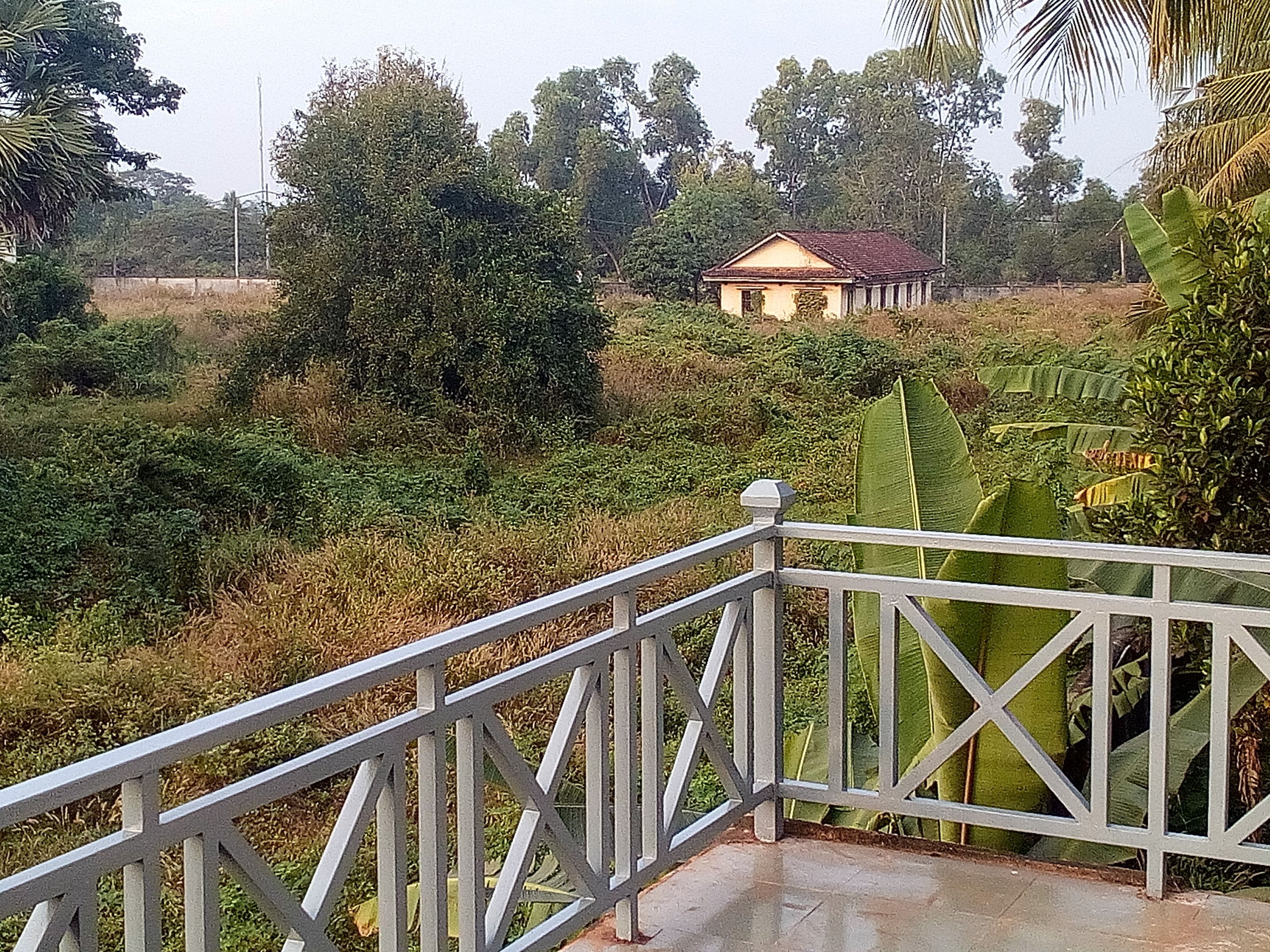 Mango Villa Siem Reap