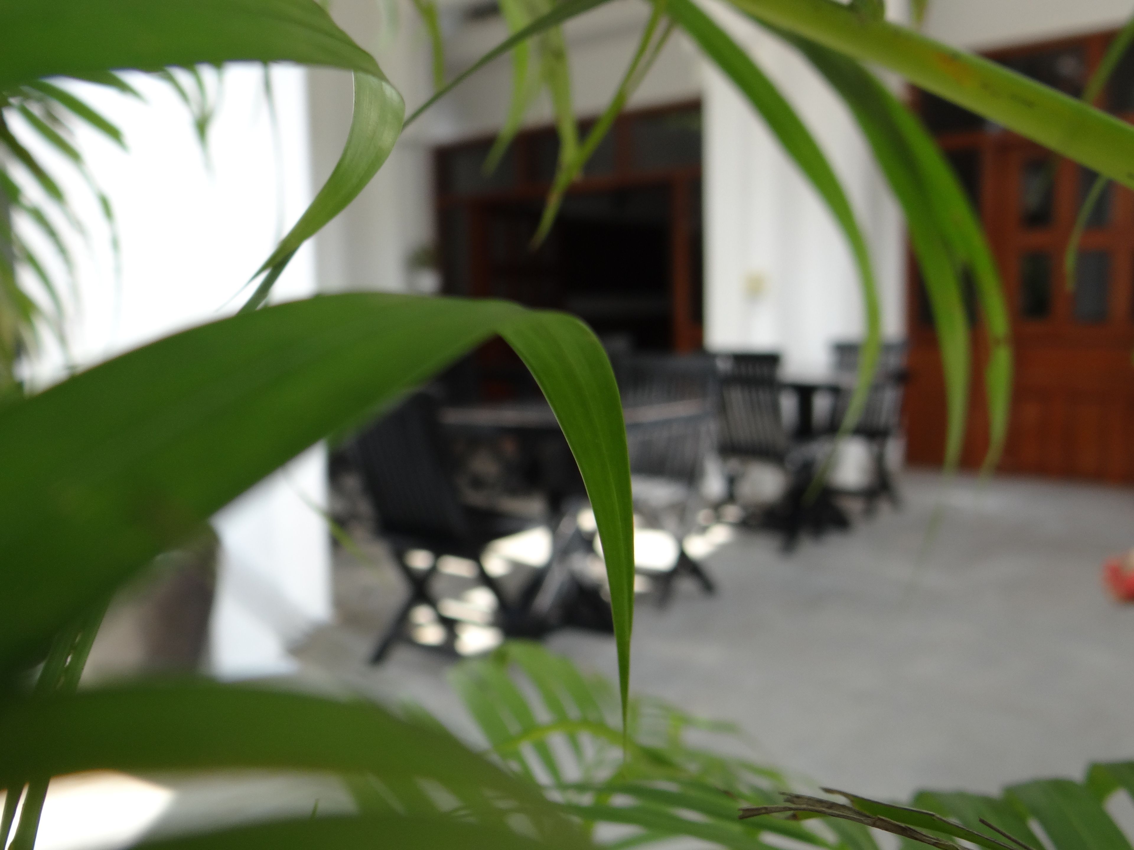 Taro Residence