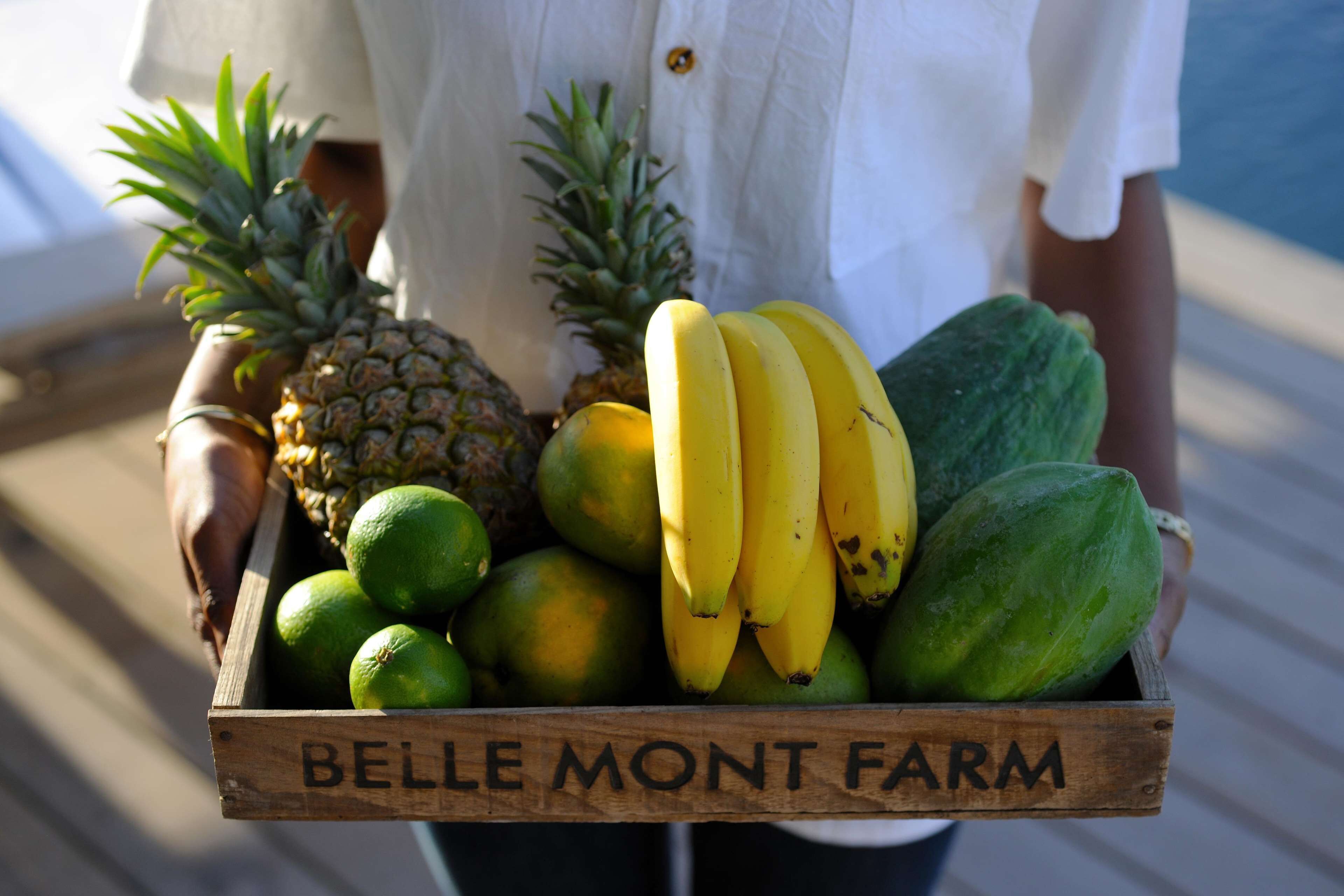 Belle Mont Farm