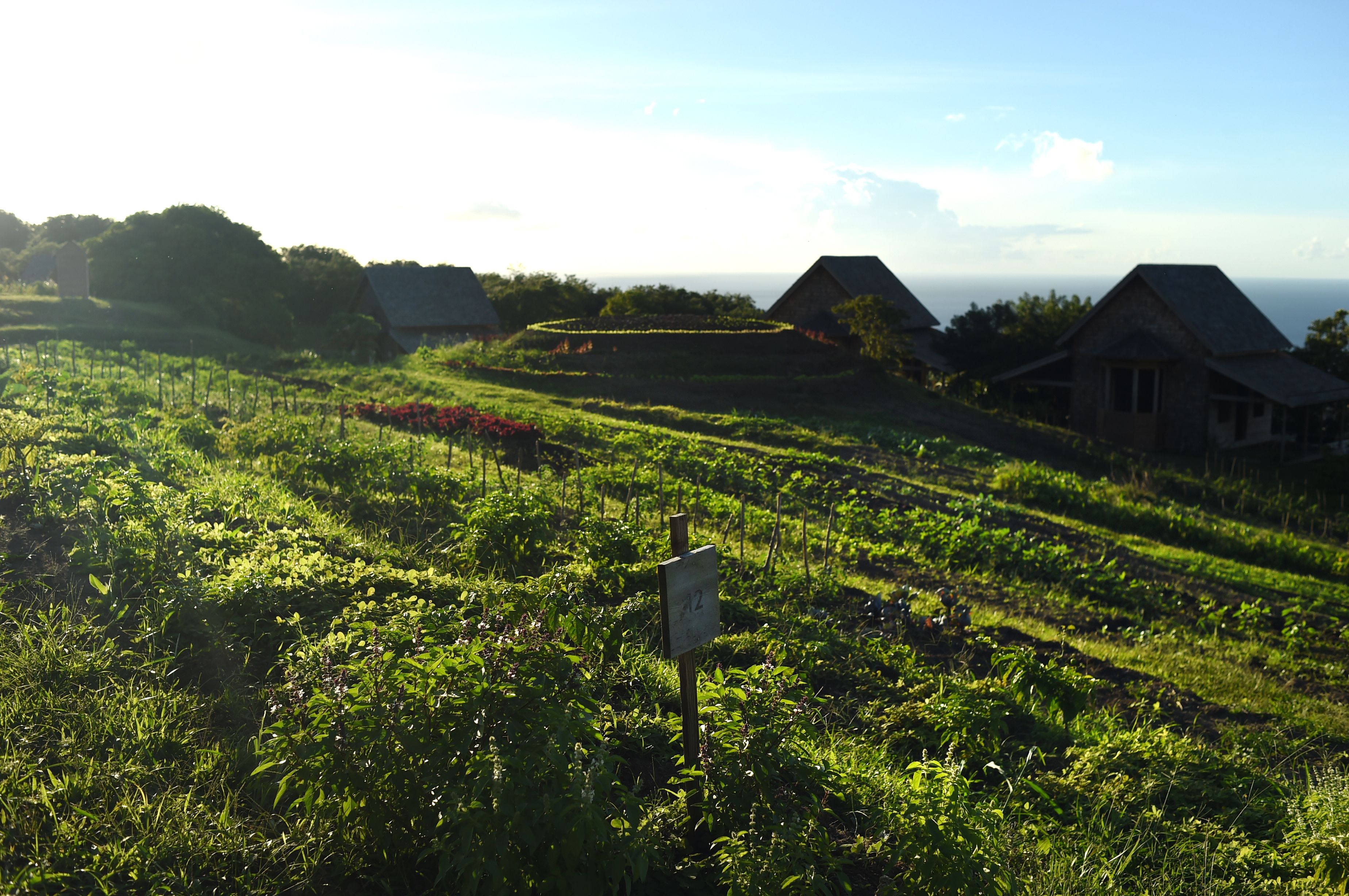 Belle Mont Farm